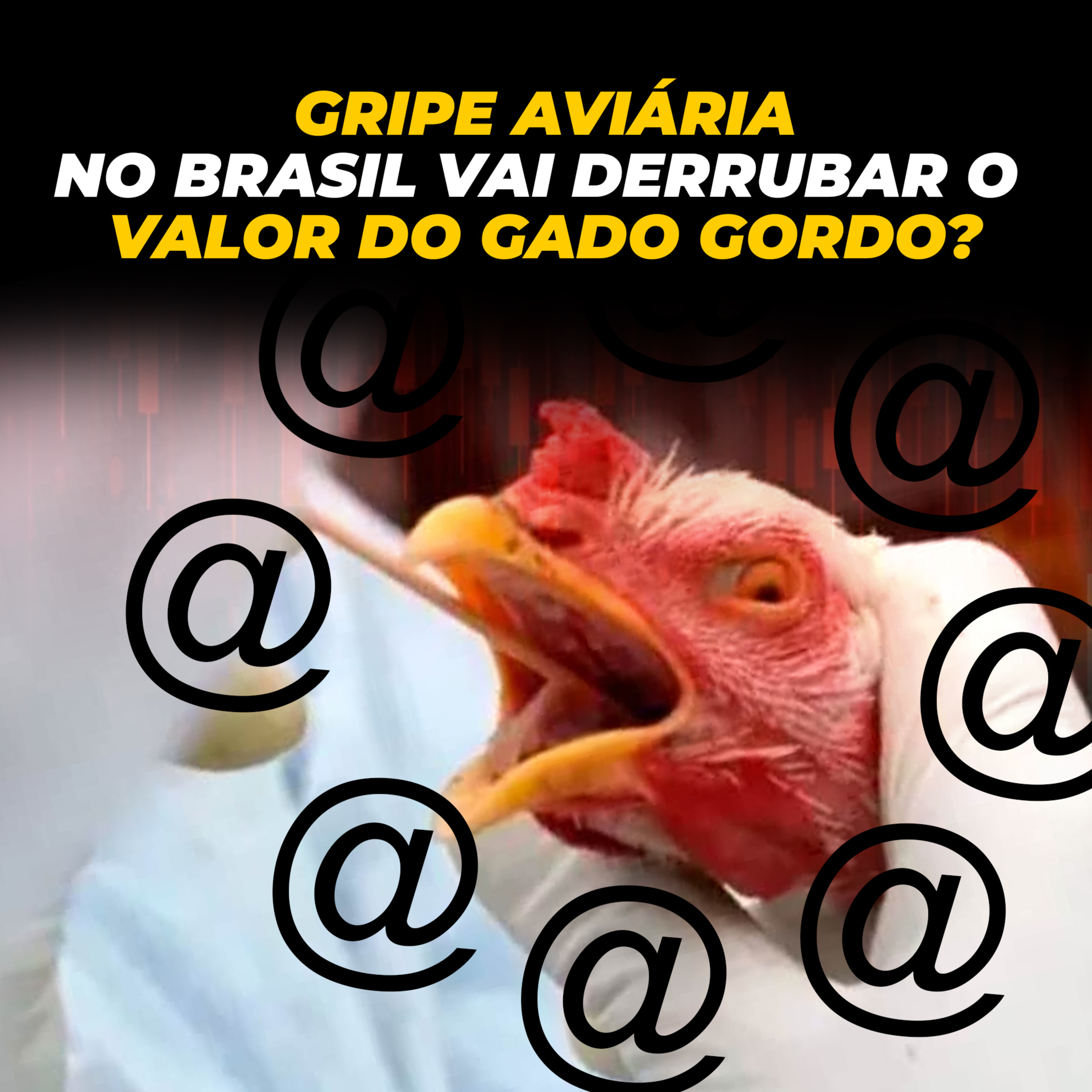 Mundo Rural Business