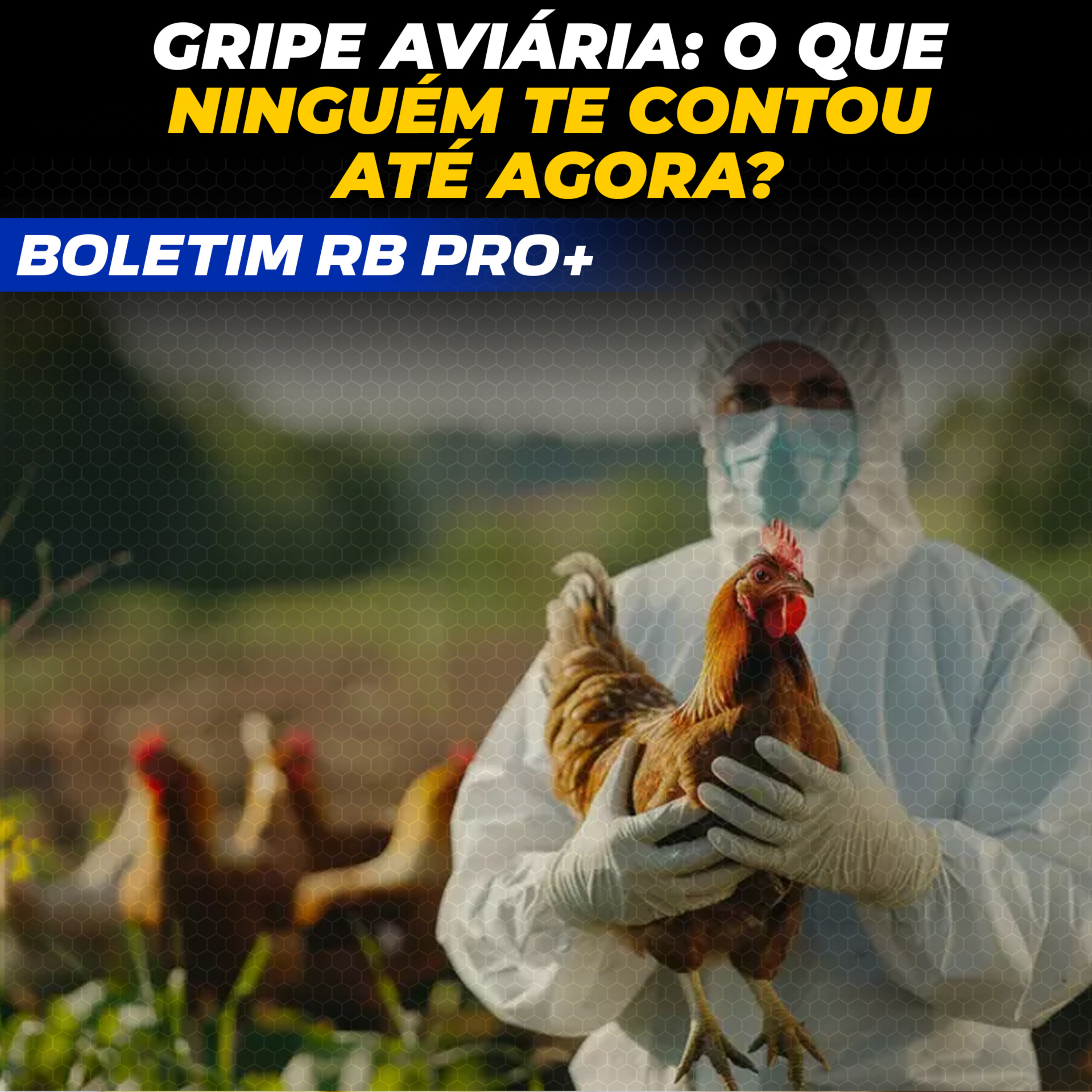 GRIPE AVIÁRIA: O QUE NINGUÉM TE CONTOU ATÉ AGORA? [BOLETIM RB PRO + 20/05/2025] episode artwork