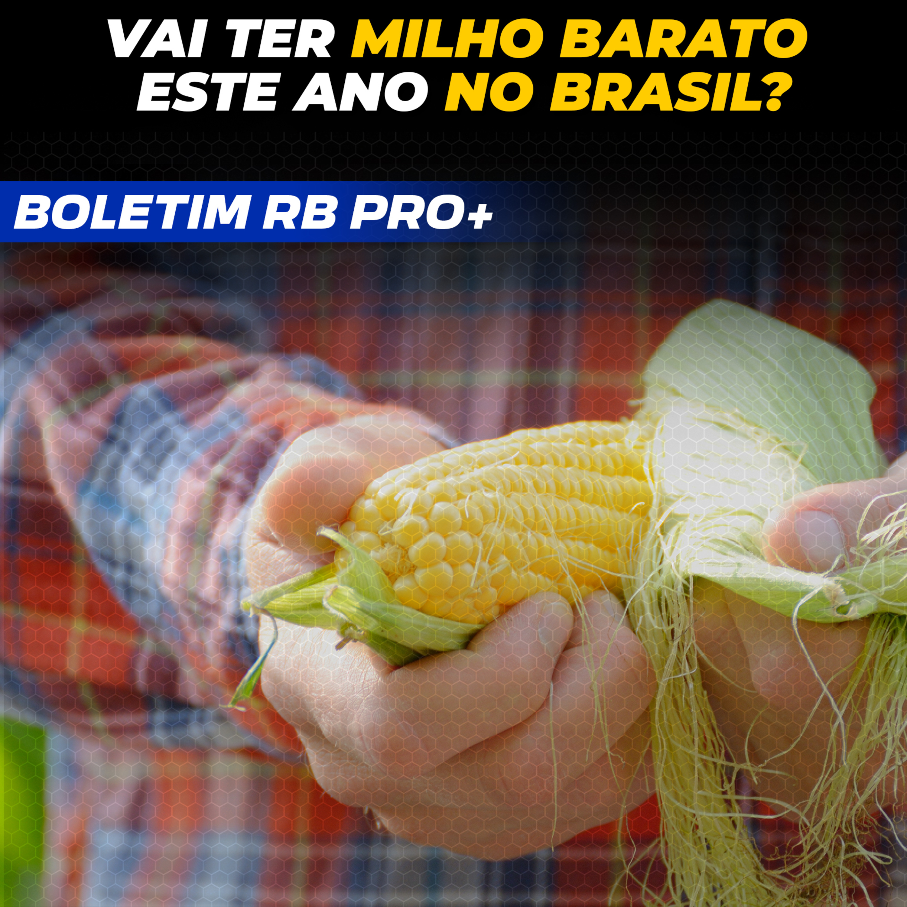 VAI TER MILHO BARATO ESTE ANO NO BRASIL? [BOLETIM RB PRO + 21/05/2025] episode artwork