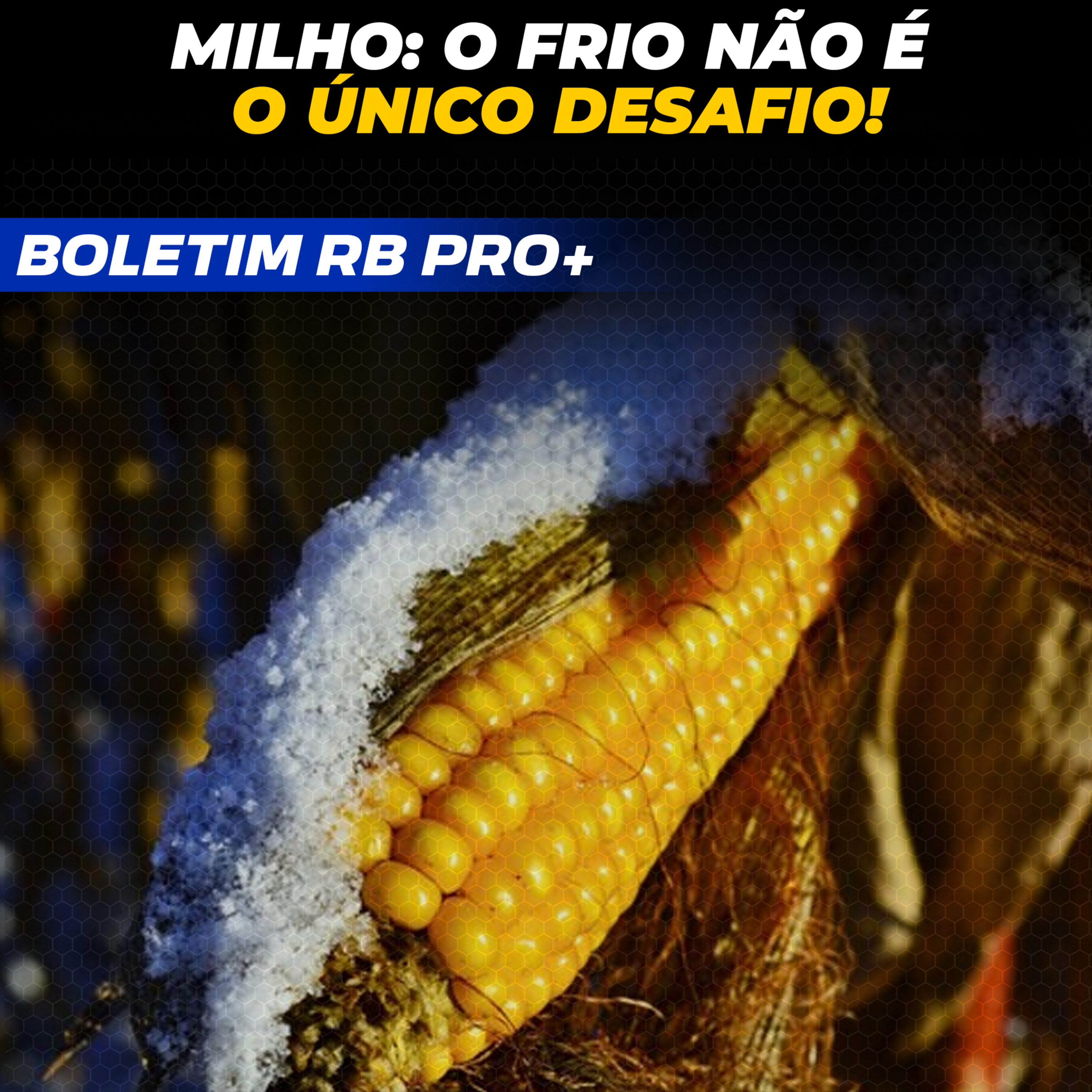 MILHO: O FRIO NÃO É O ÚNICO DESAFIO! [BOLETIM RB PRO + 27/05/2025]