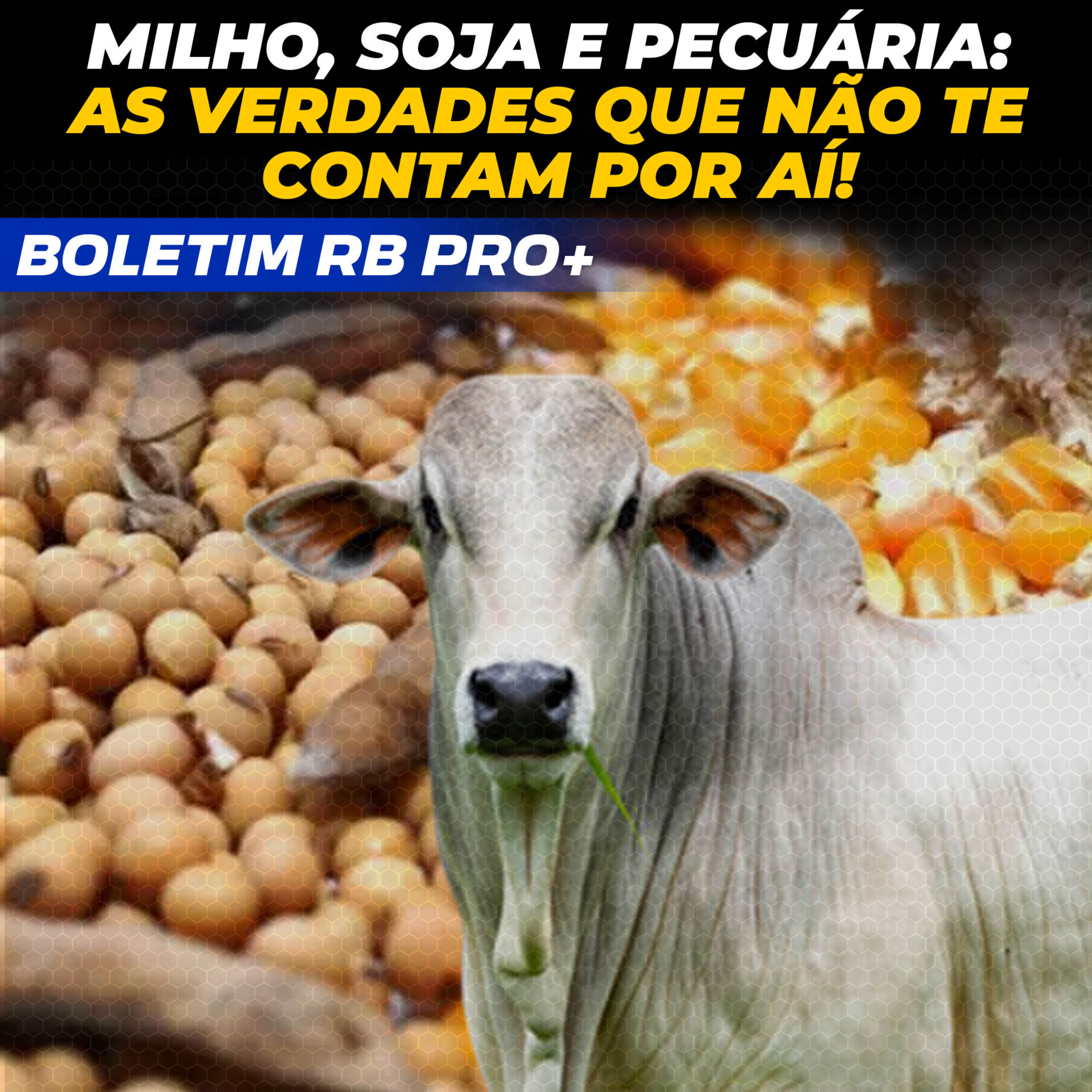 MILHO, SOJA E PECUÁRIA: AS VERDADES QUE NÃO TE CONTAM POR AÍ! episode artwork