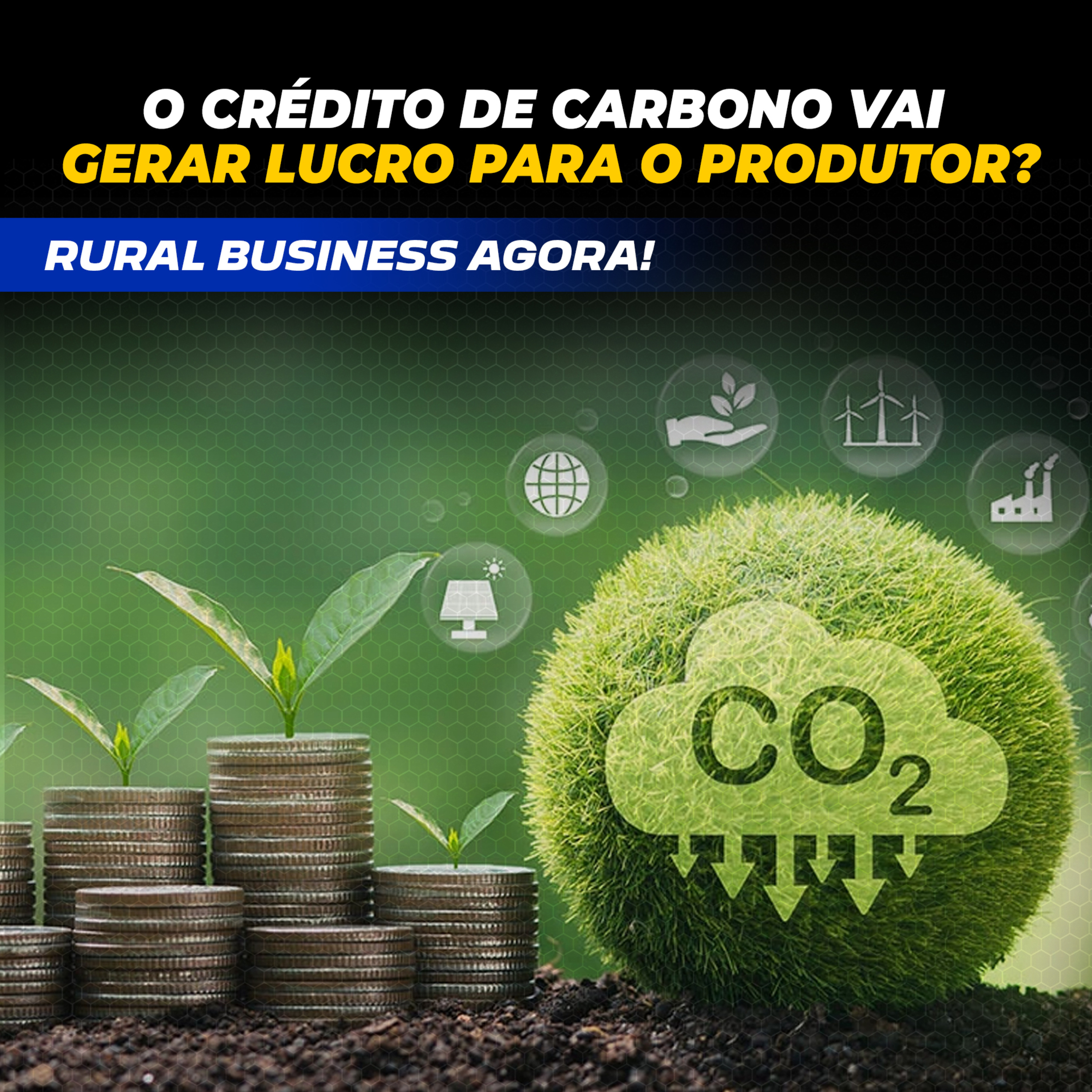 O CRÉDITO DE CARBONO VAI GERAR LUCRO PARA O PRODUTOR? episode artwork