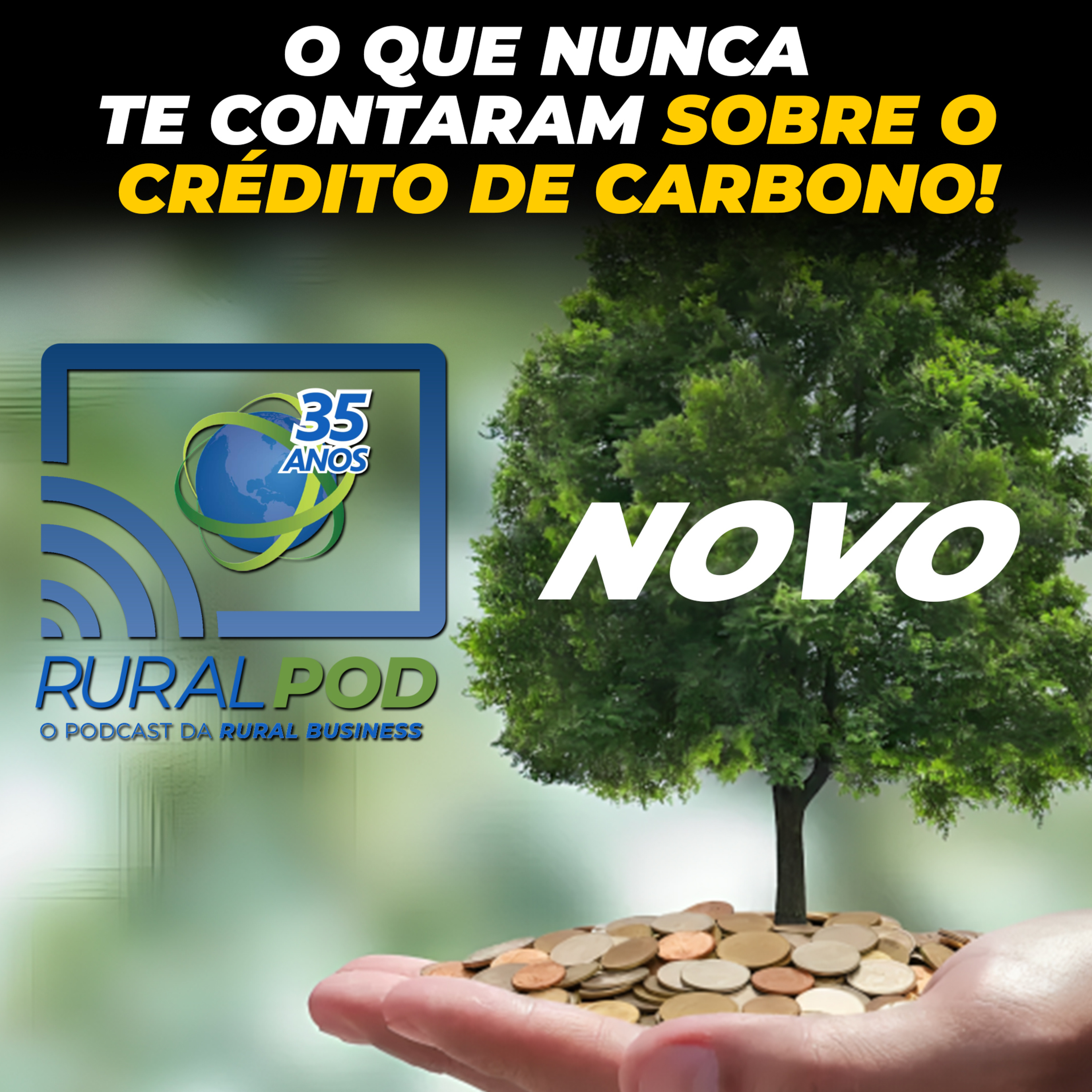 O QUE NUNCA TE CONTARAM SOBRE O CRÉDITO DE CARBONO!