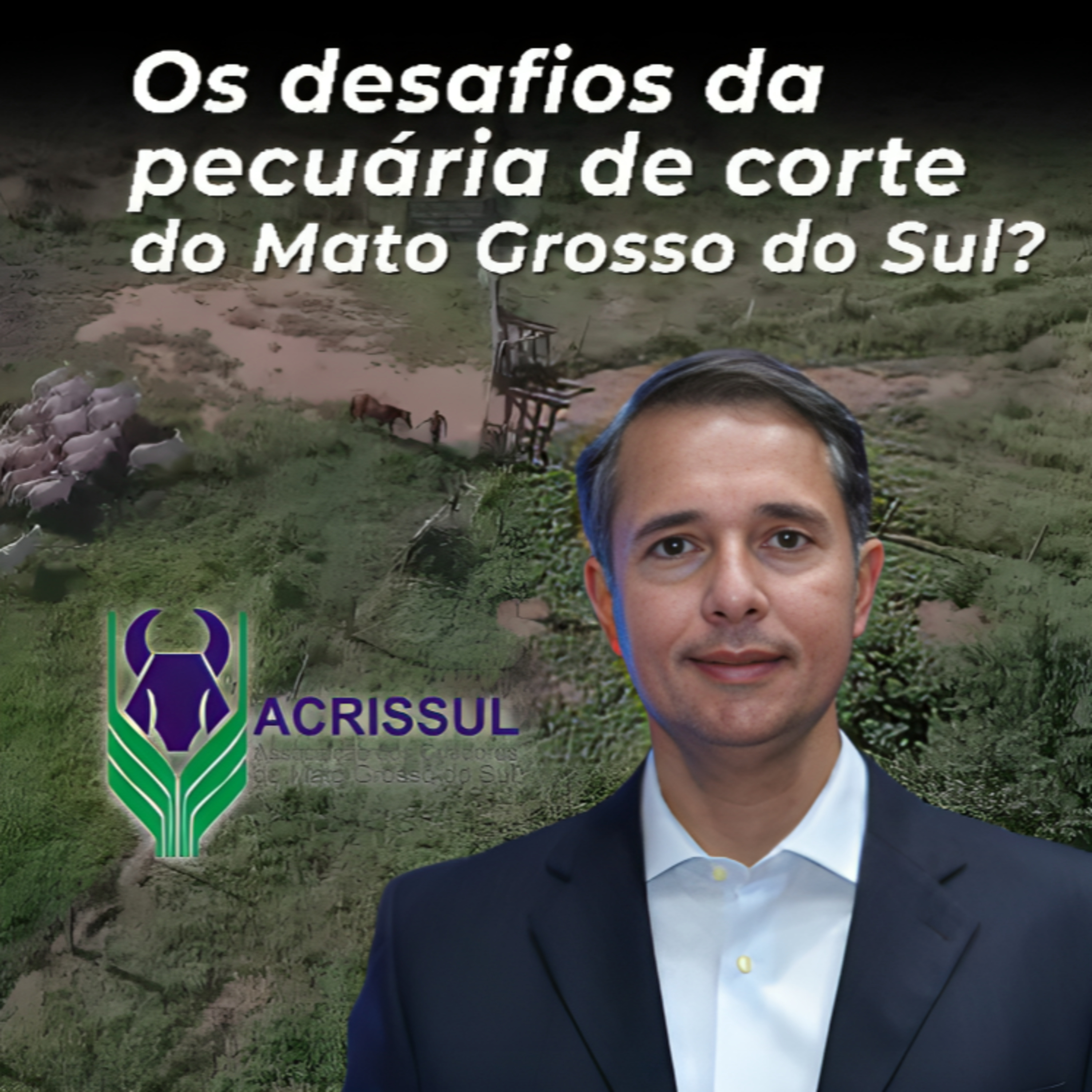 OS DESAFIOS DA PECUÁRIA DE CORTE DO MATO GROSSO DO SUL? episode artwork