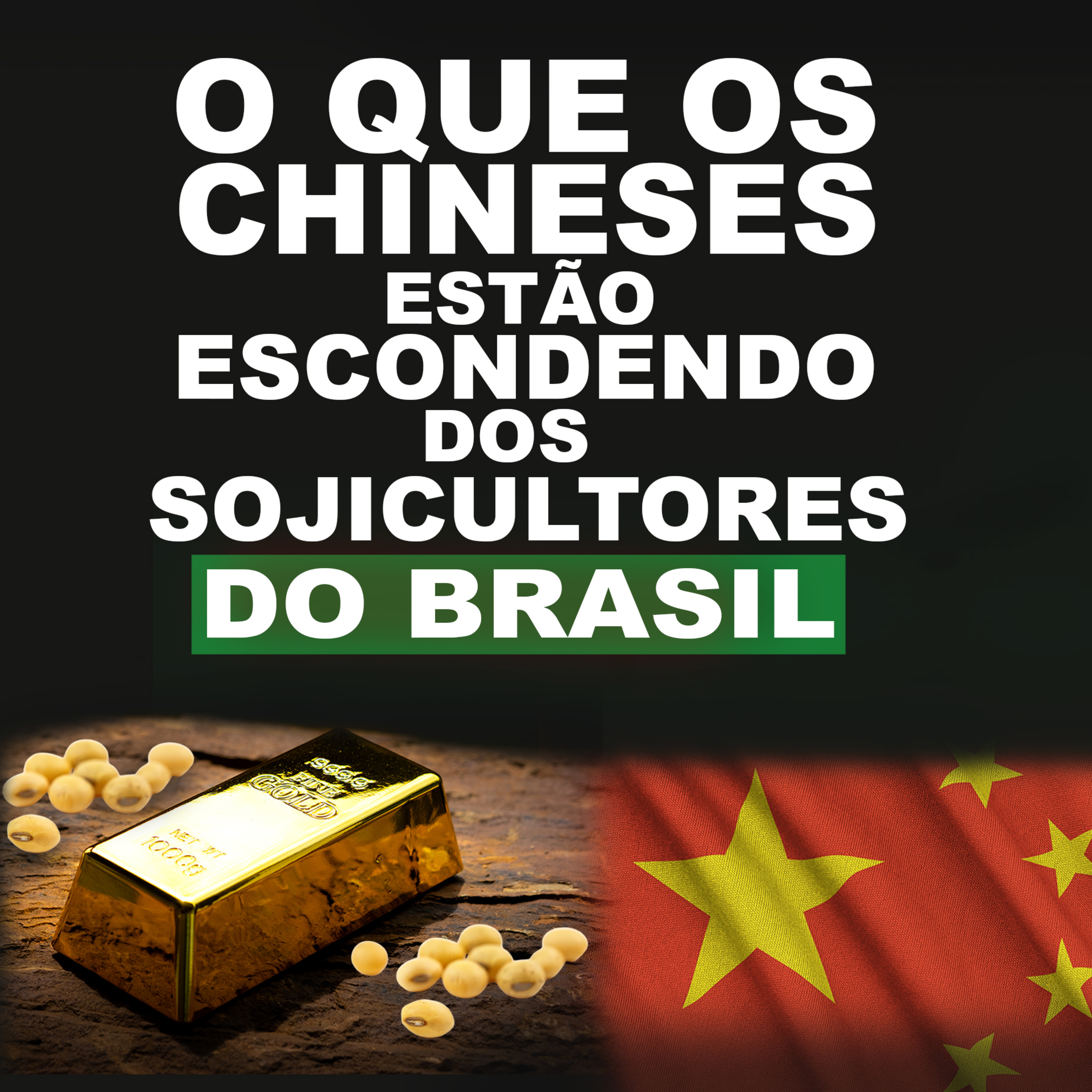 O QUE OS CHINESES ESTÃO ESCONDENDO DOS SOJICULTORES DO BRASIL? episode artwork