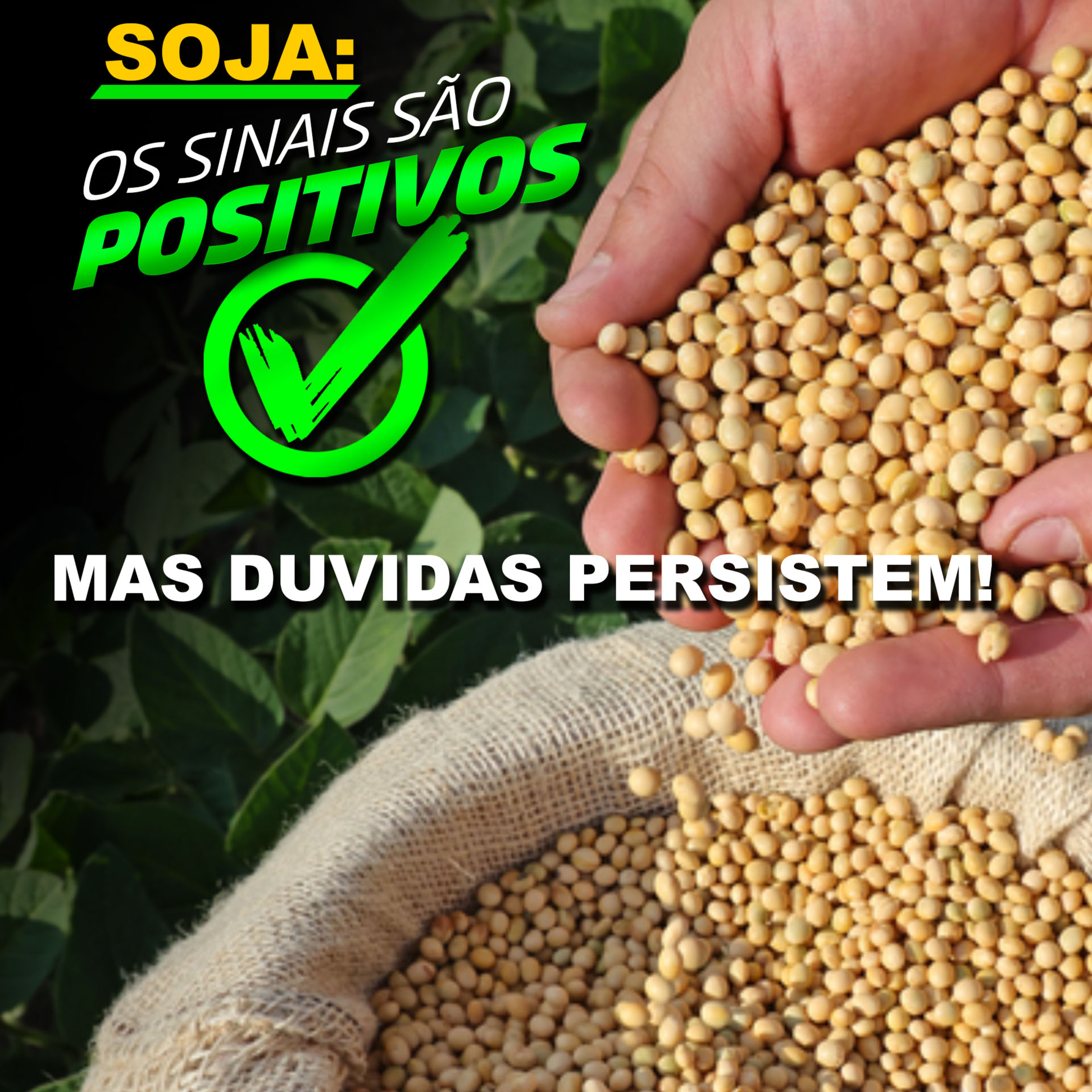 SOJA: SINAIS SÃO POSITIVOS, MAS DUVIDAS PERSISTEM! episode artwork