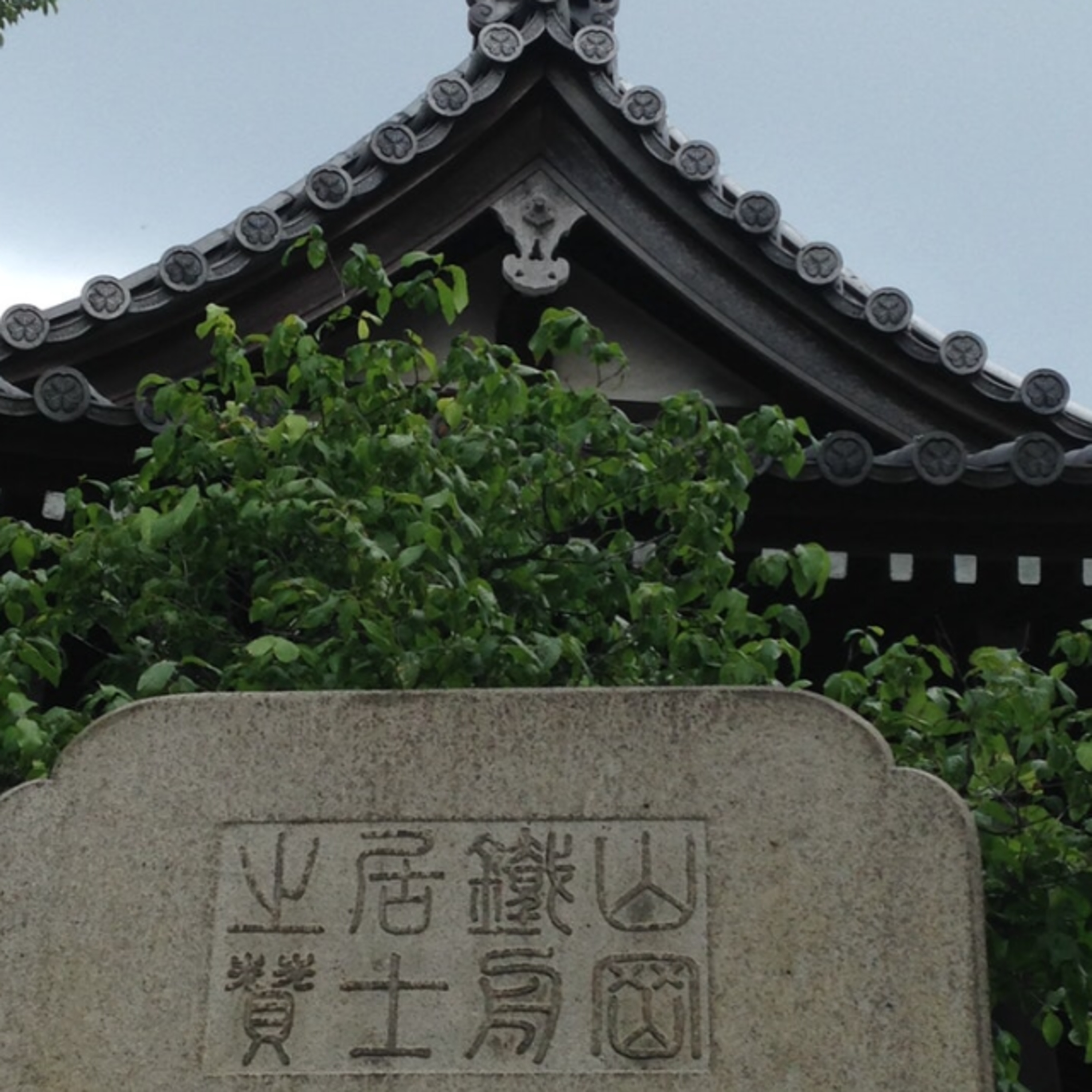 Detour - The Unofficial Podcast