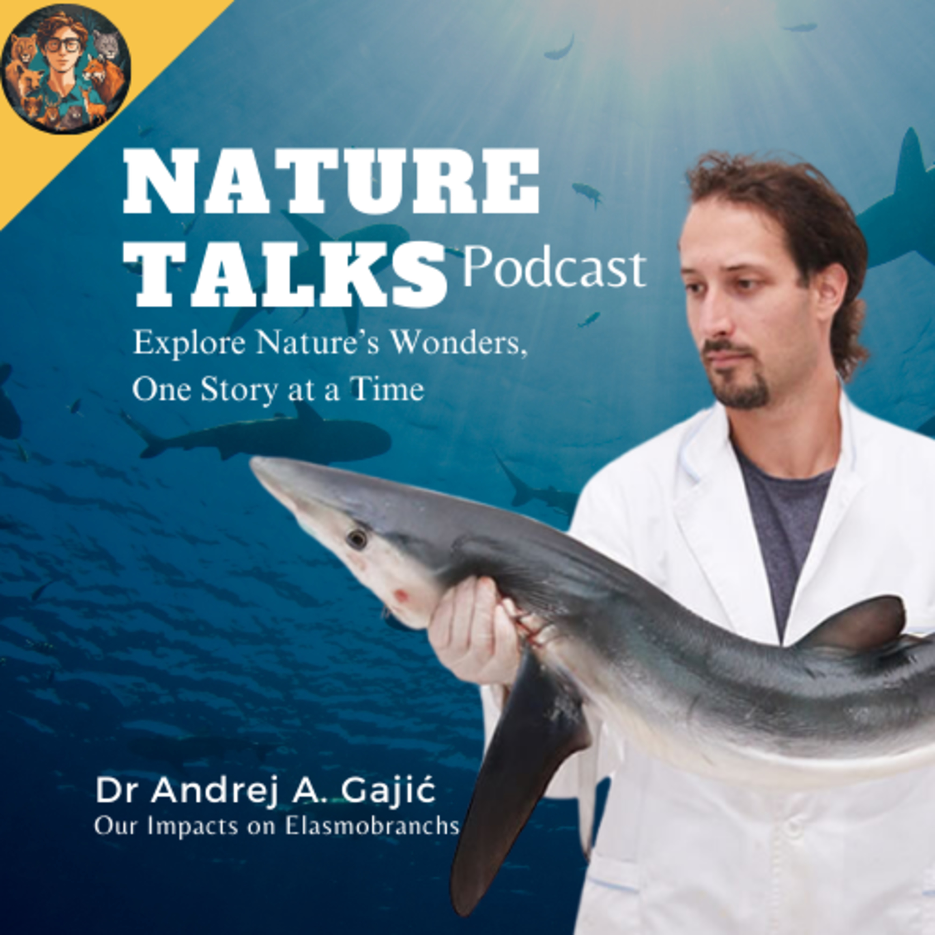 Dr Andrej: Our Impacts on Elasmobranchs