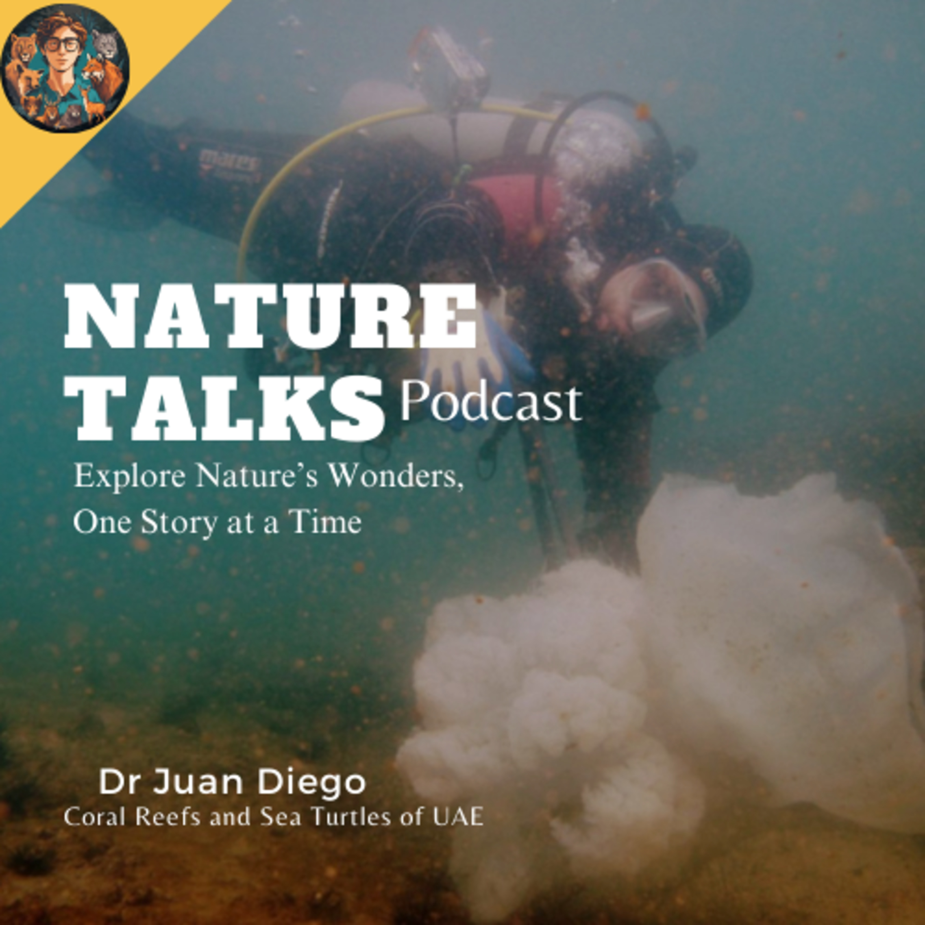 Dr Juan Diego: Coral Reefs & Seaturtles of UAE