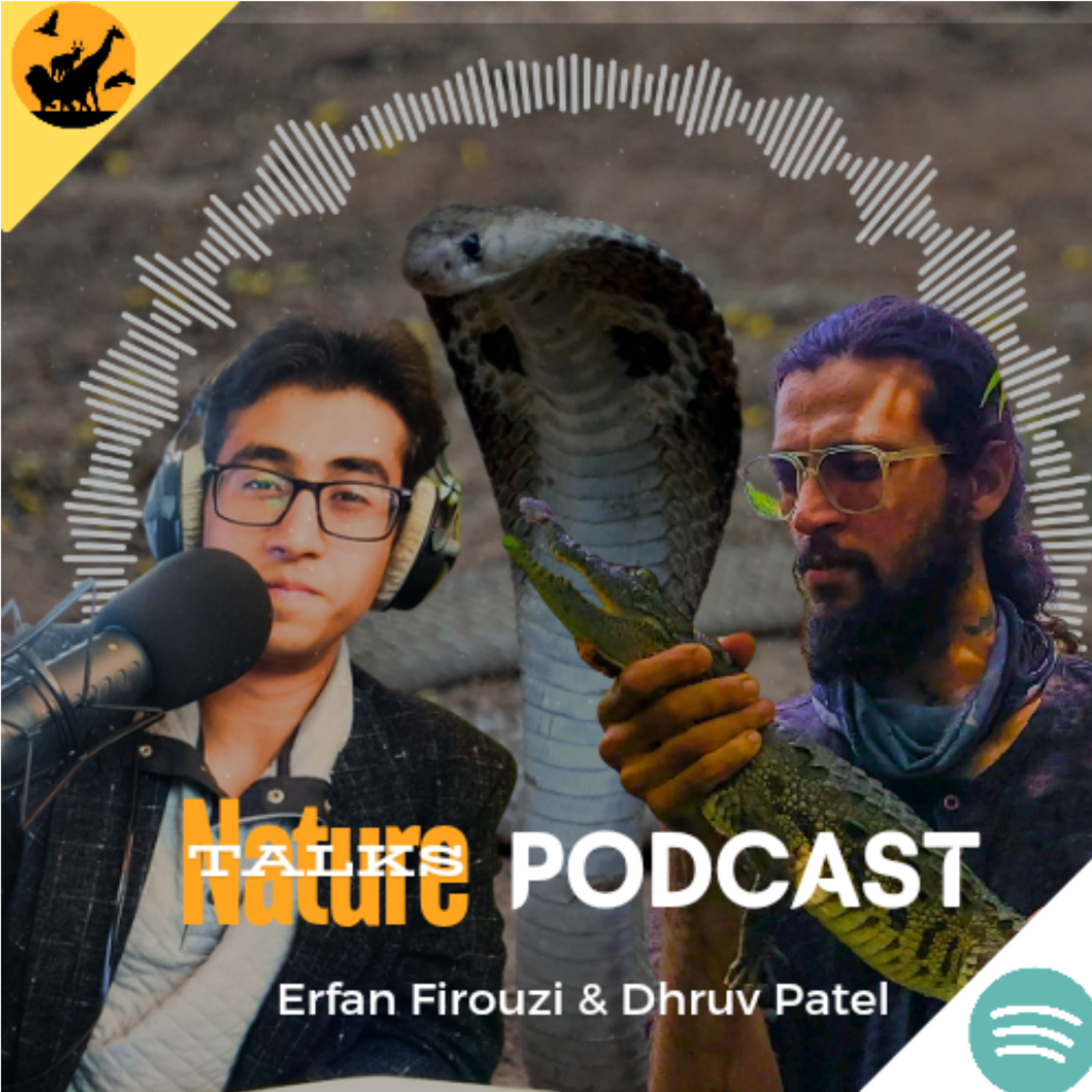 Reptile Realms: Face to Face with King Cobras – ft. Dhruv Patel
