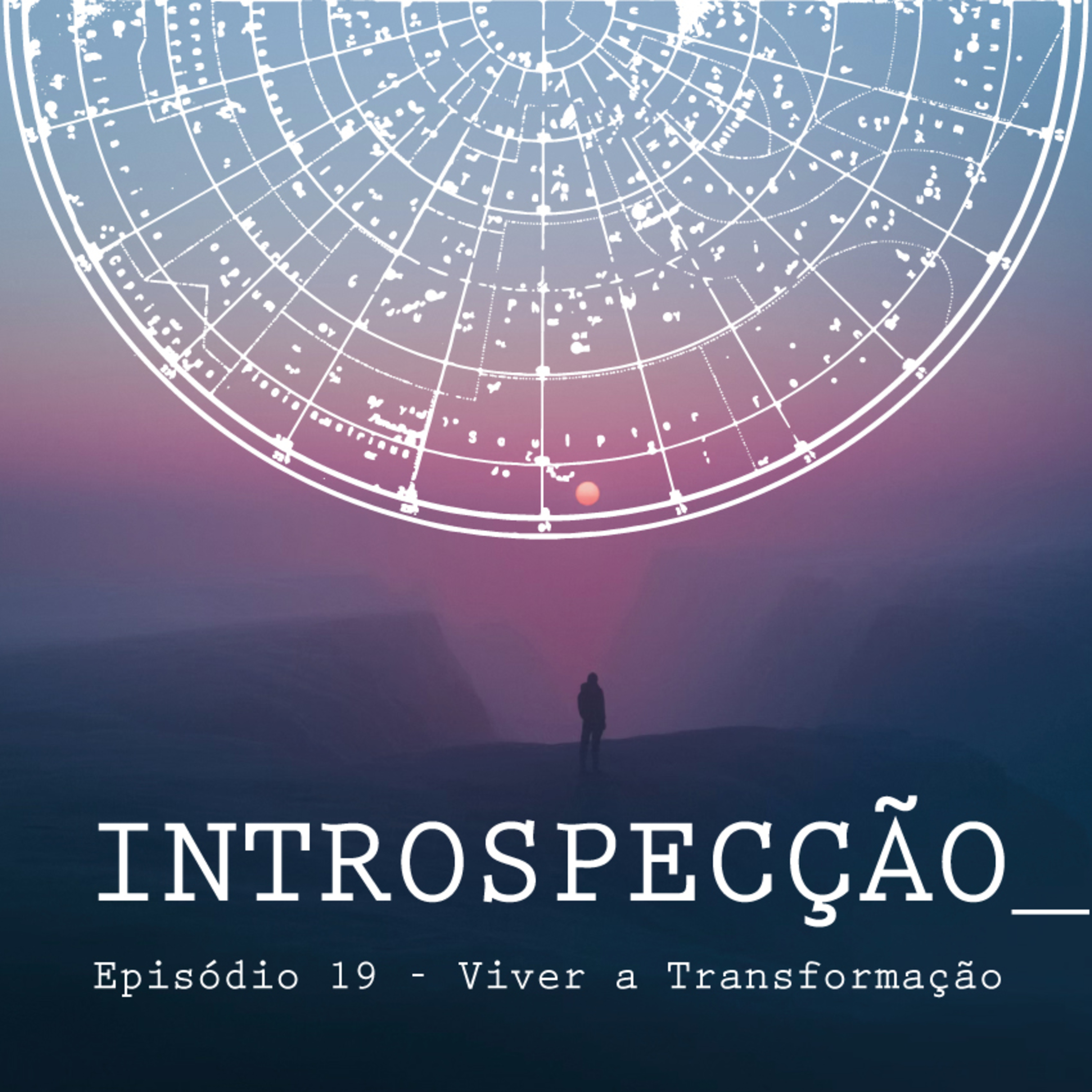 INTROSPECÇÃO com Leonardo Mansinhos
