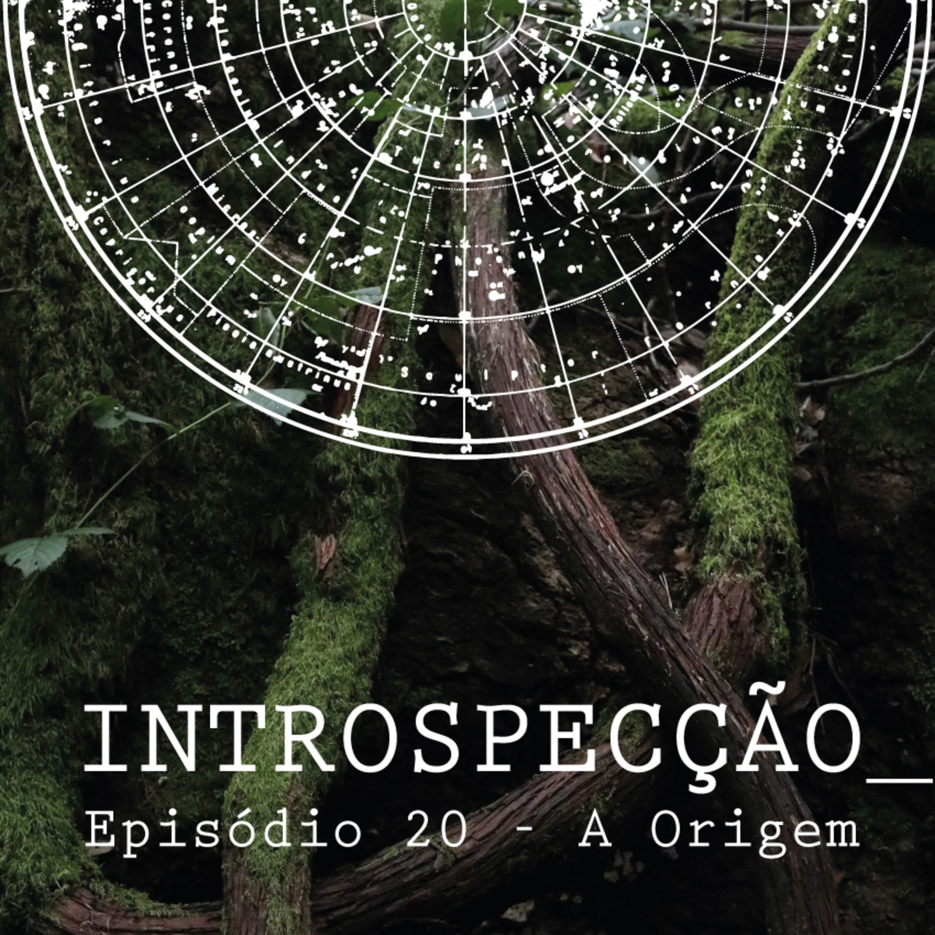 INTROSPECÇÃO com Leonardo Mansinhos