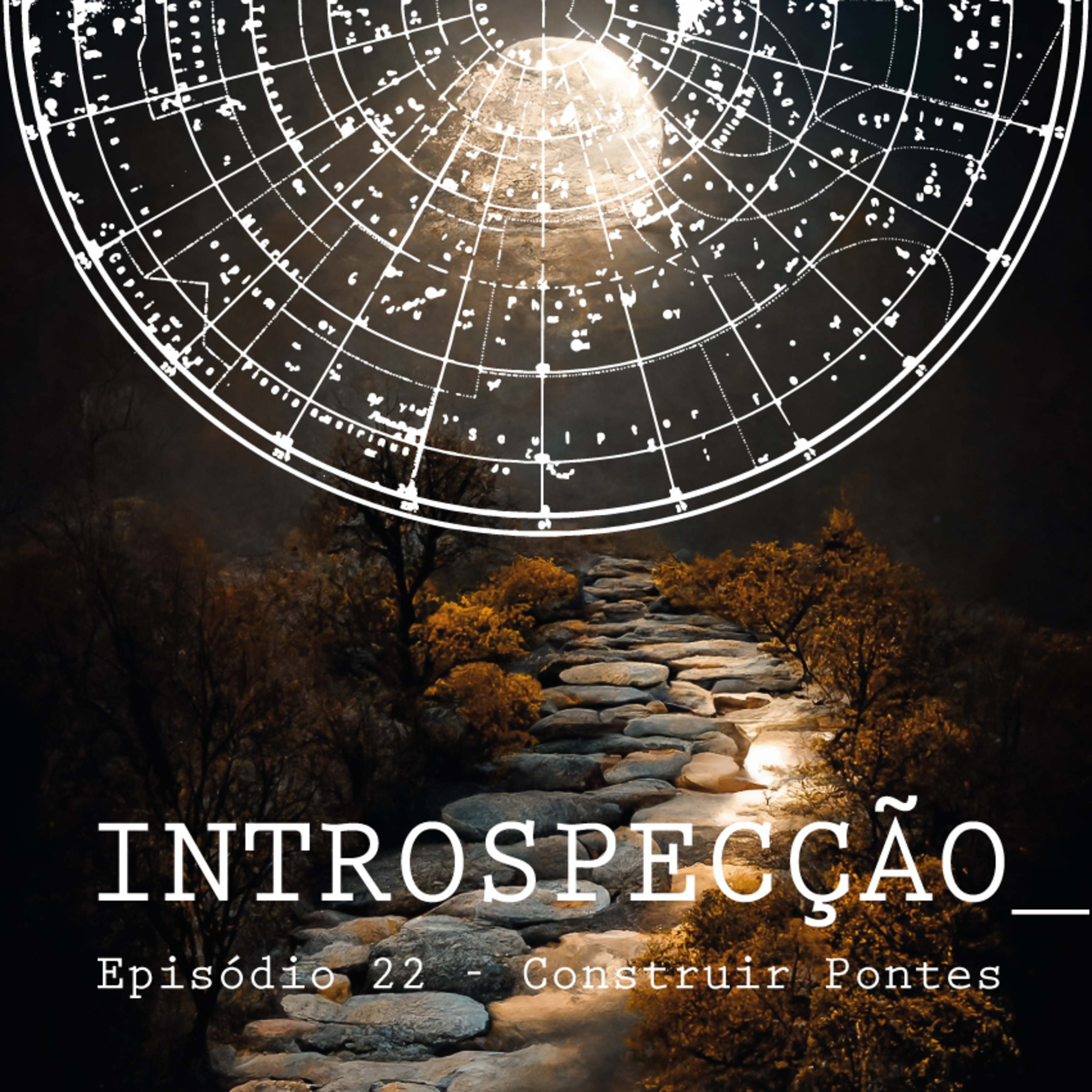 INTROSPECÇÃO com Leonardo Mansinhos