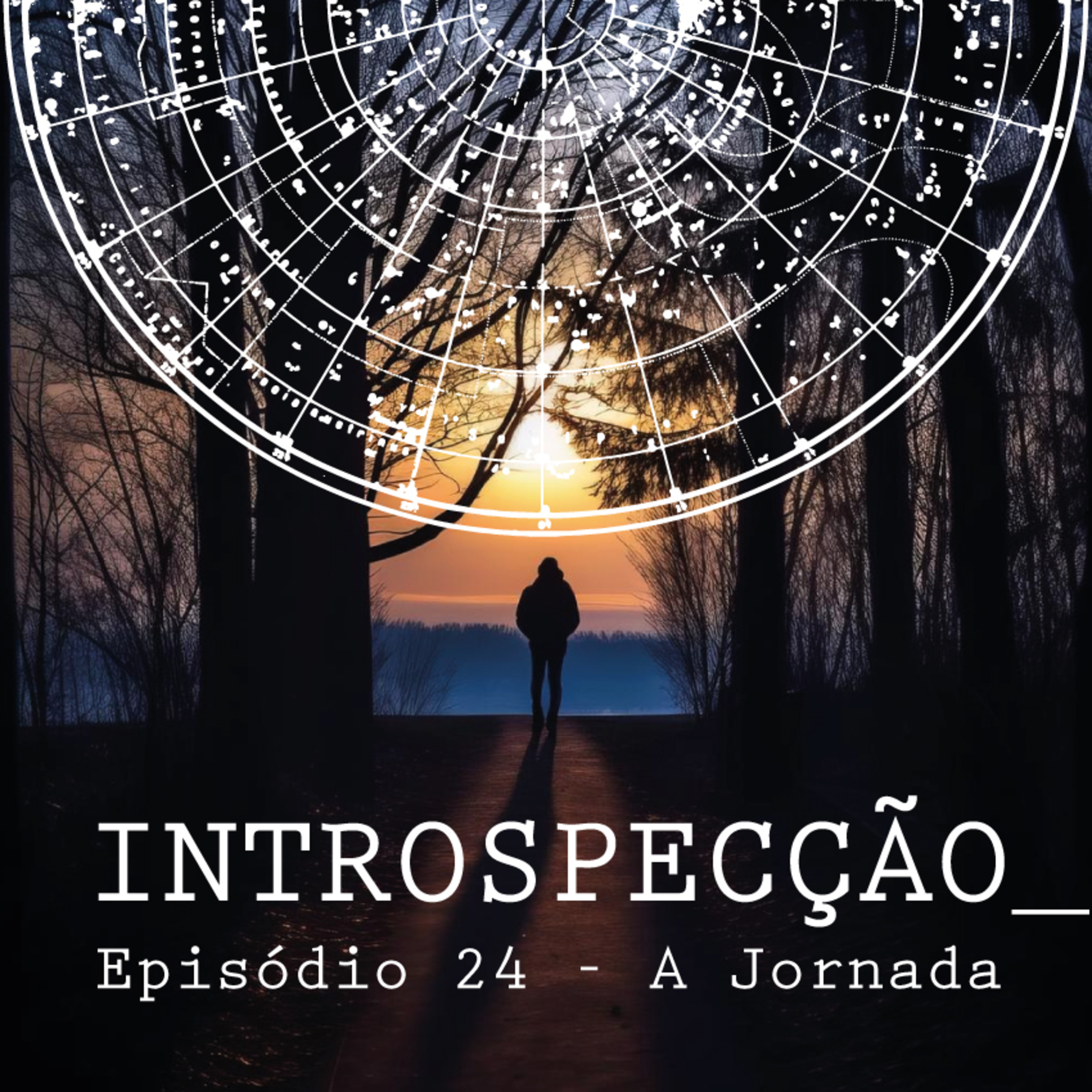 INTROSPECÇÃO com Leonardo Mansinhos