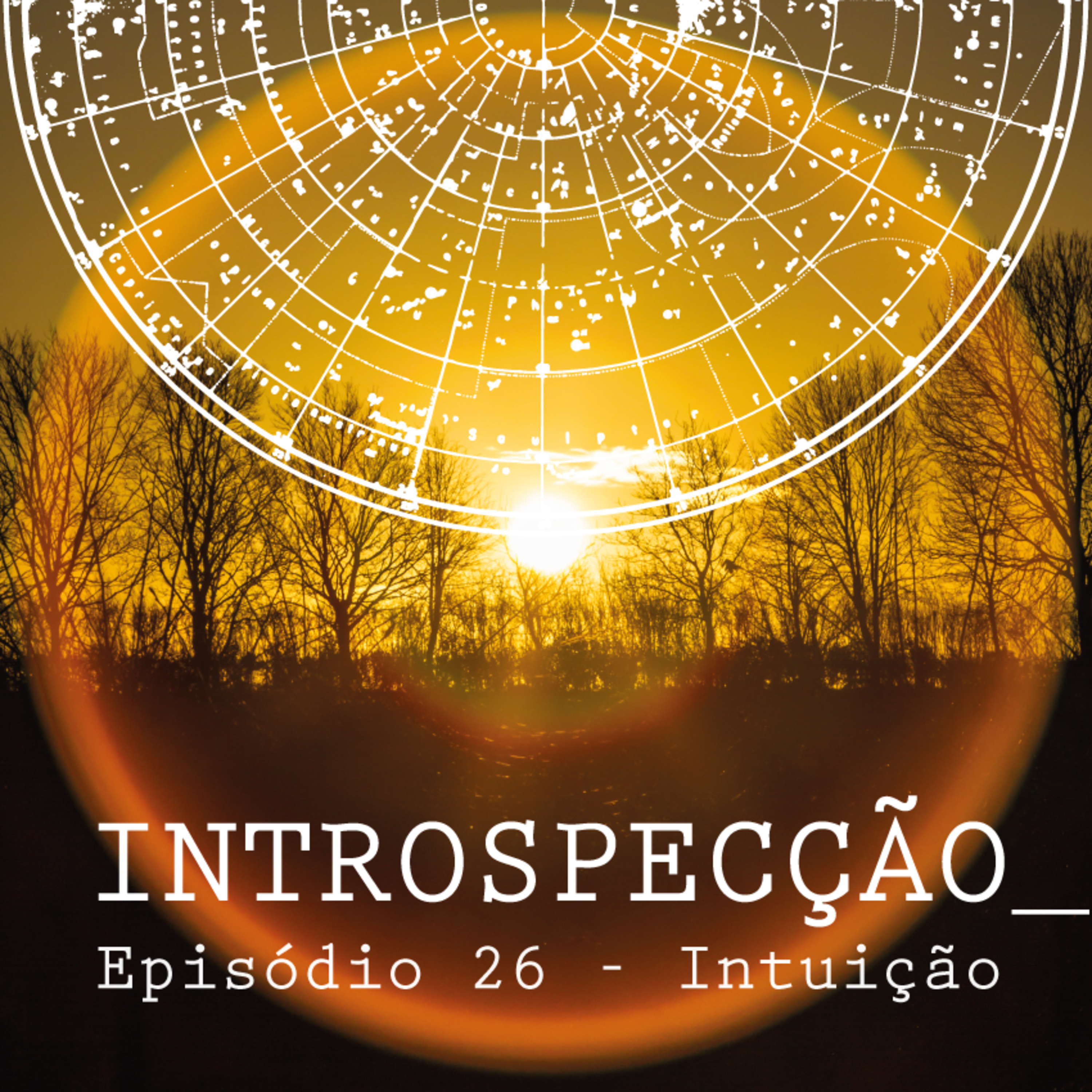 INTROSPECÇÃO com Leonardo Mansinhos