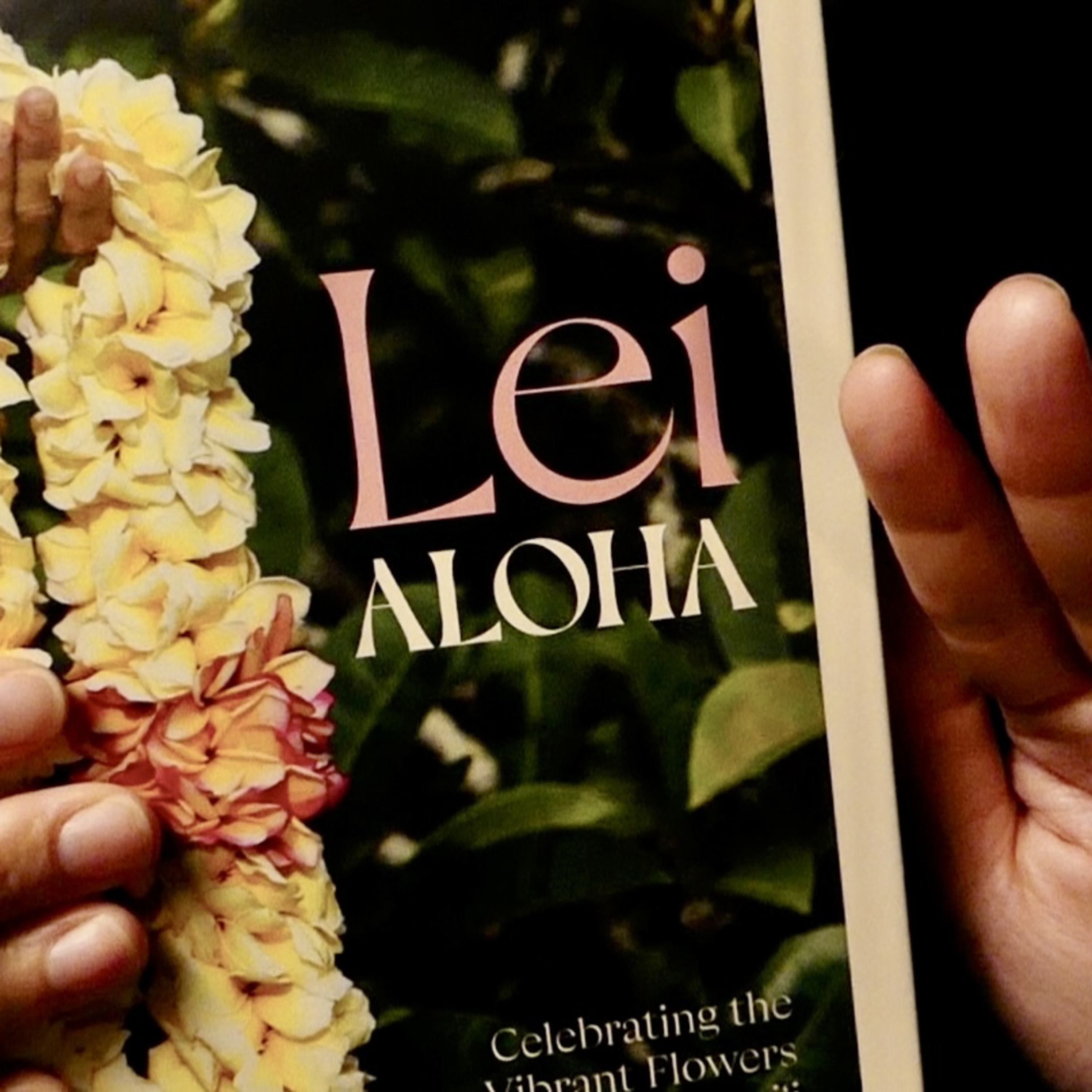 ASMR Book Tapping on Books I’ve Been Reading Recently episode artwork