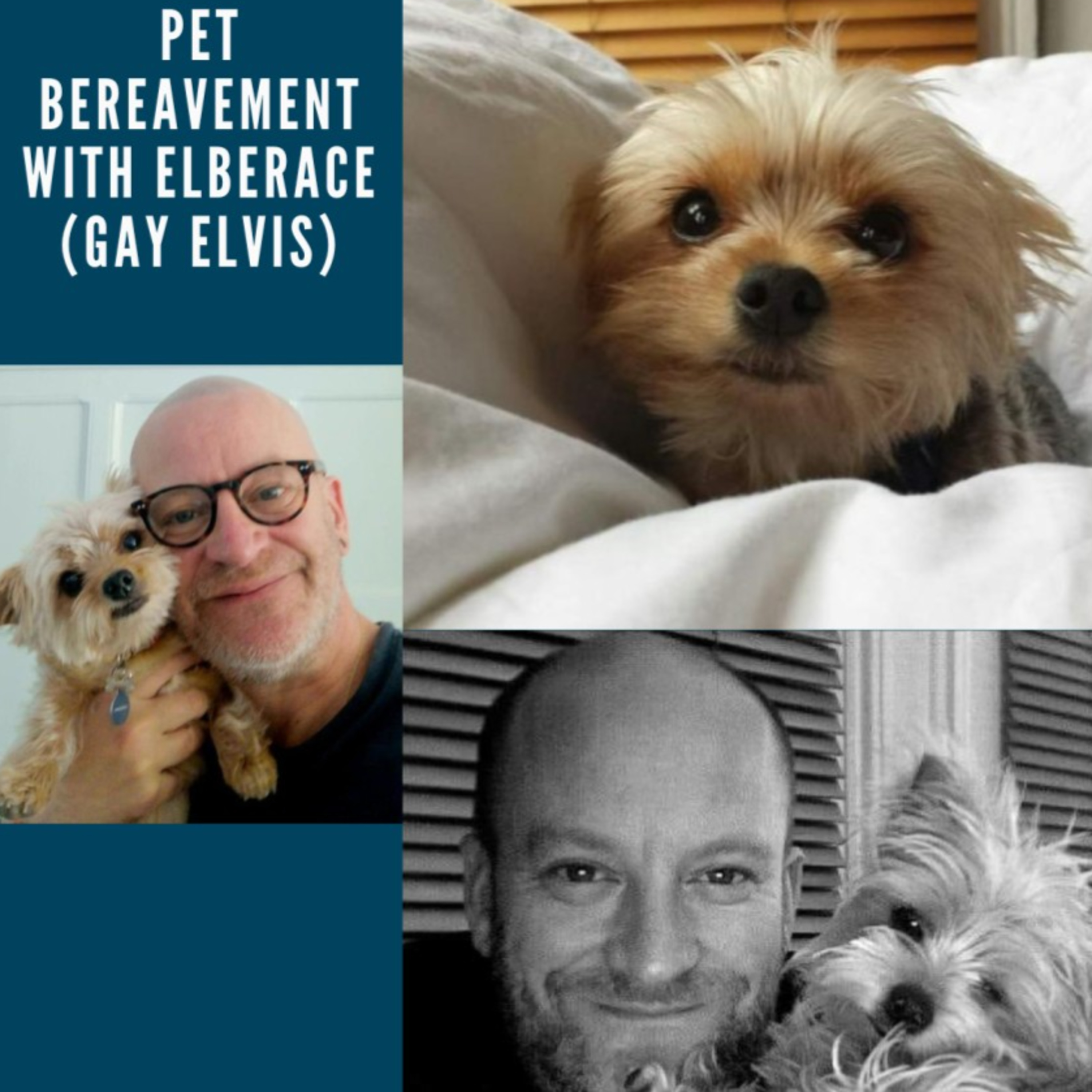 The Christian Reeve Podcast