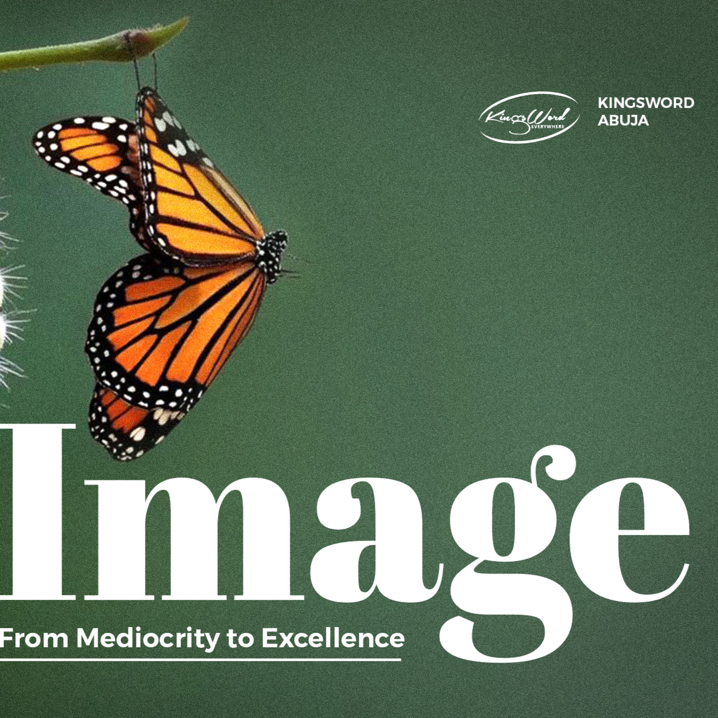 IMAGE: From Mediocrity to Excellence