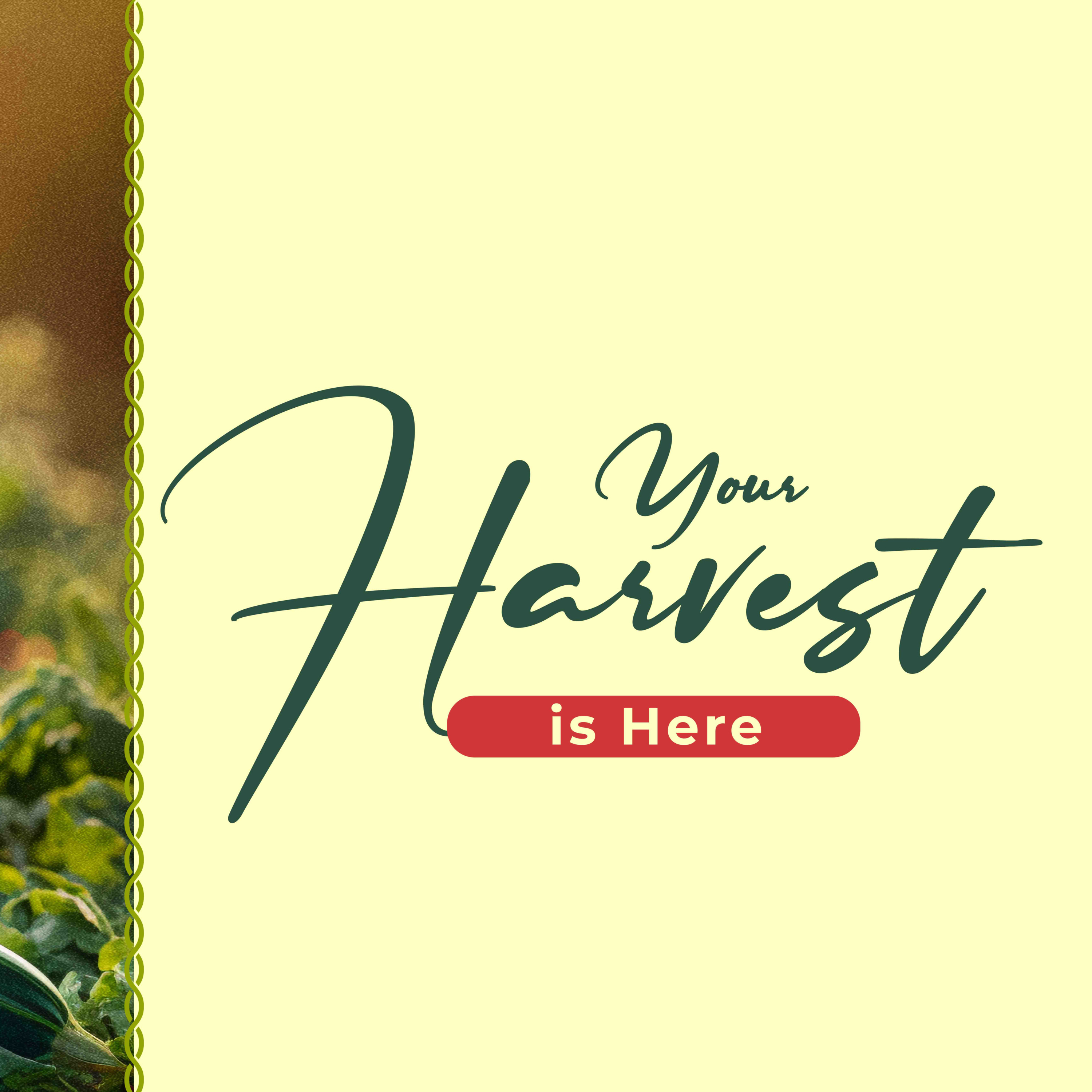  YOUR HARVEST IS HERE | Pastor Bimbo Oluseyi