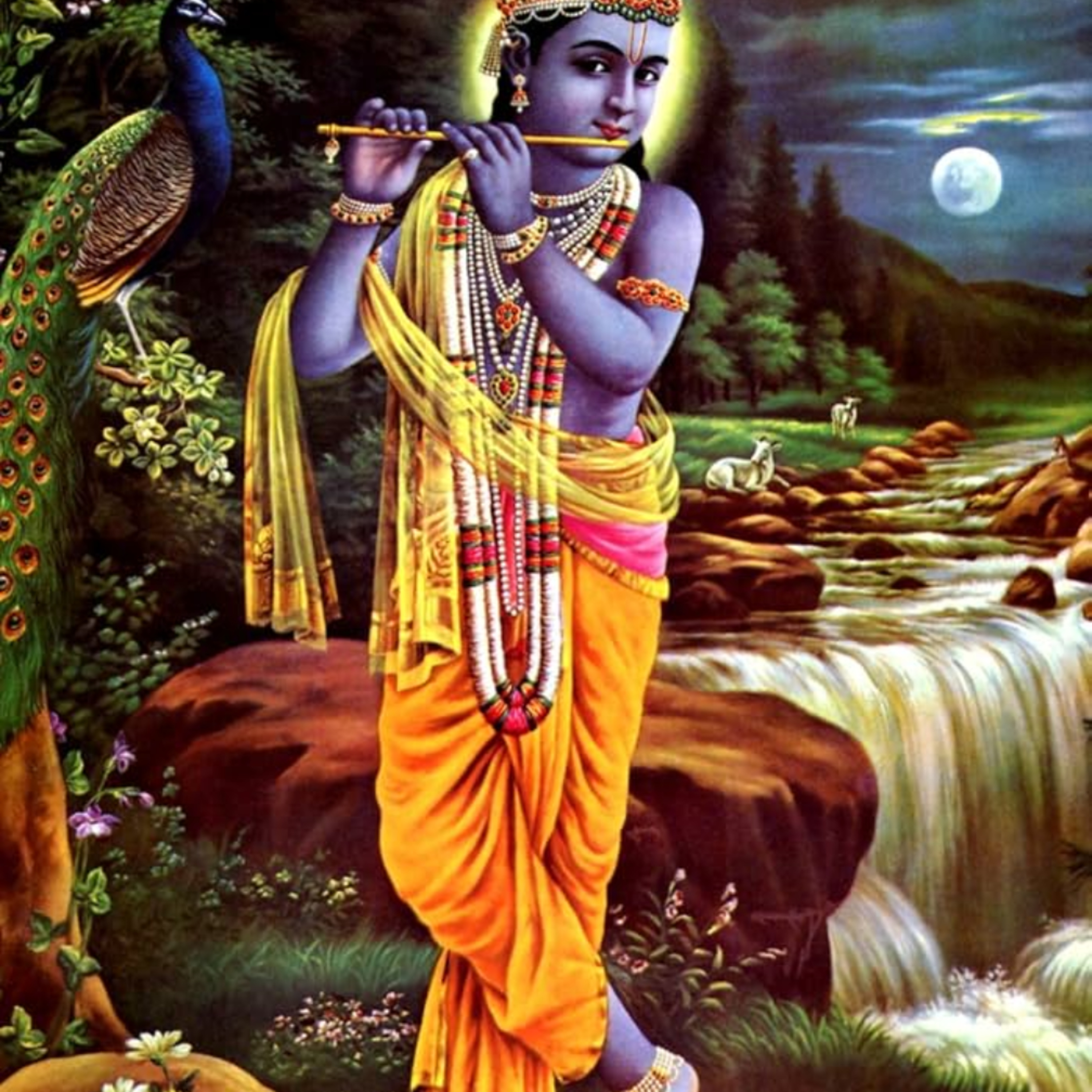 Who is a proper Spiritual Master