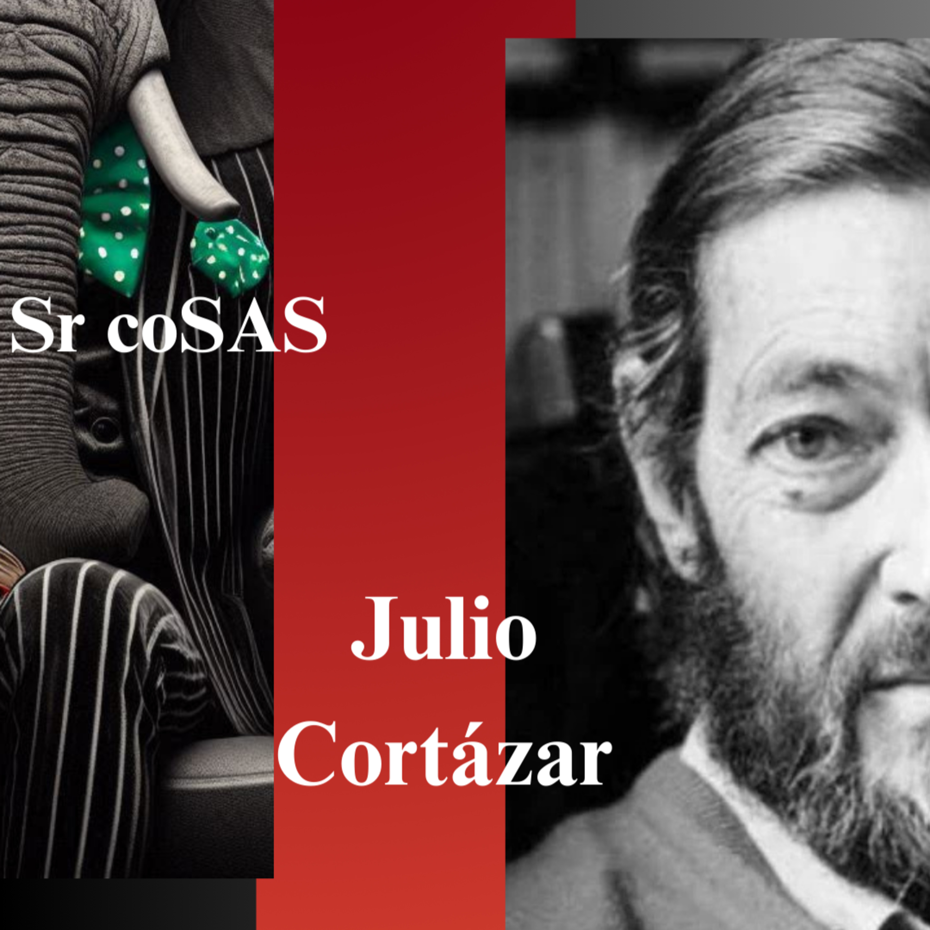 Audiolibro Cosas que no sirven para nada, Sr Cosas