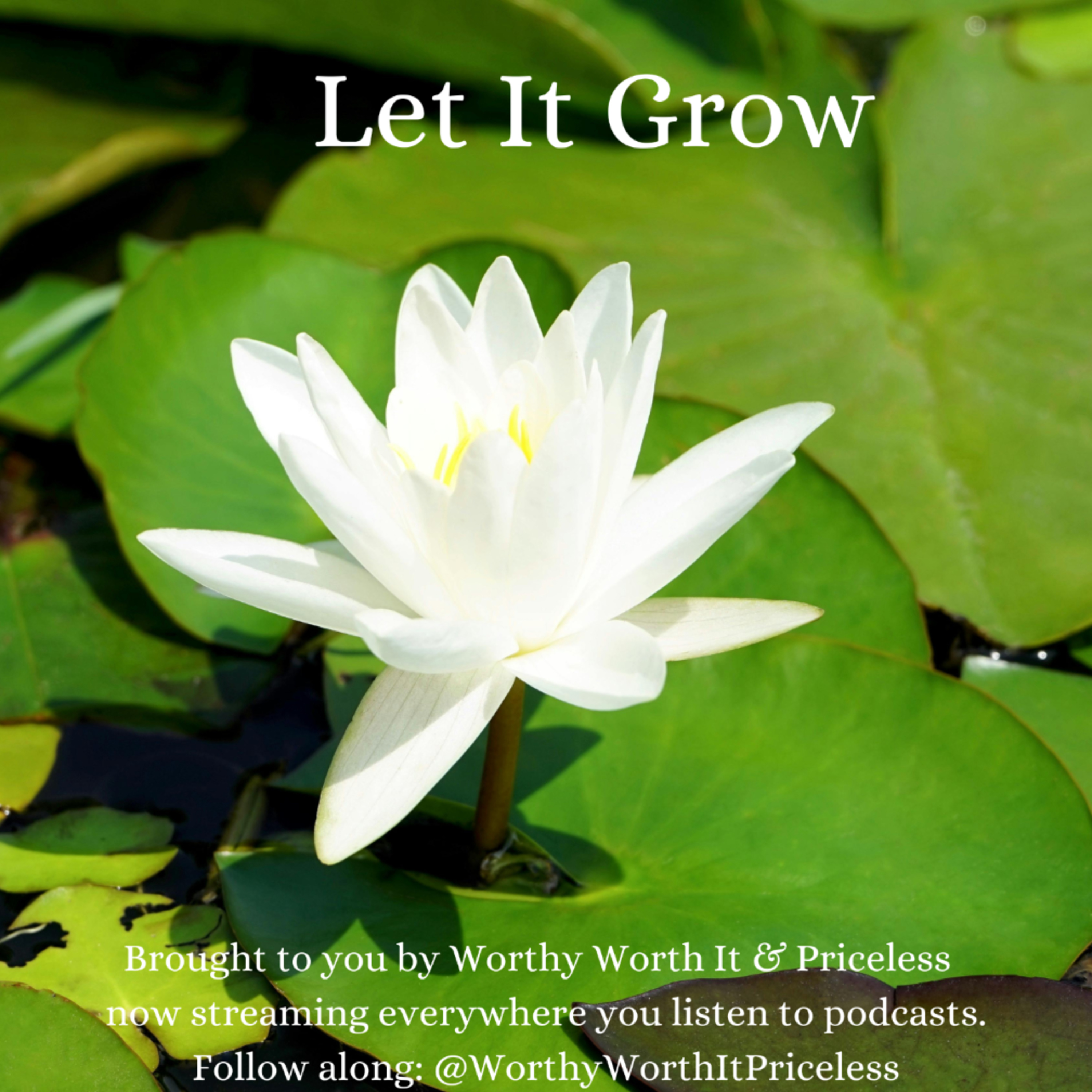 Let It Grow episode artwork