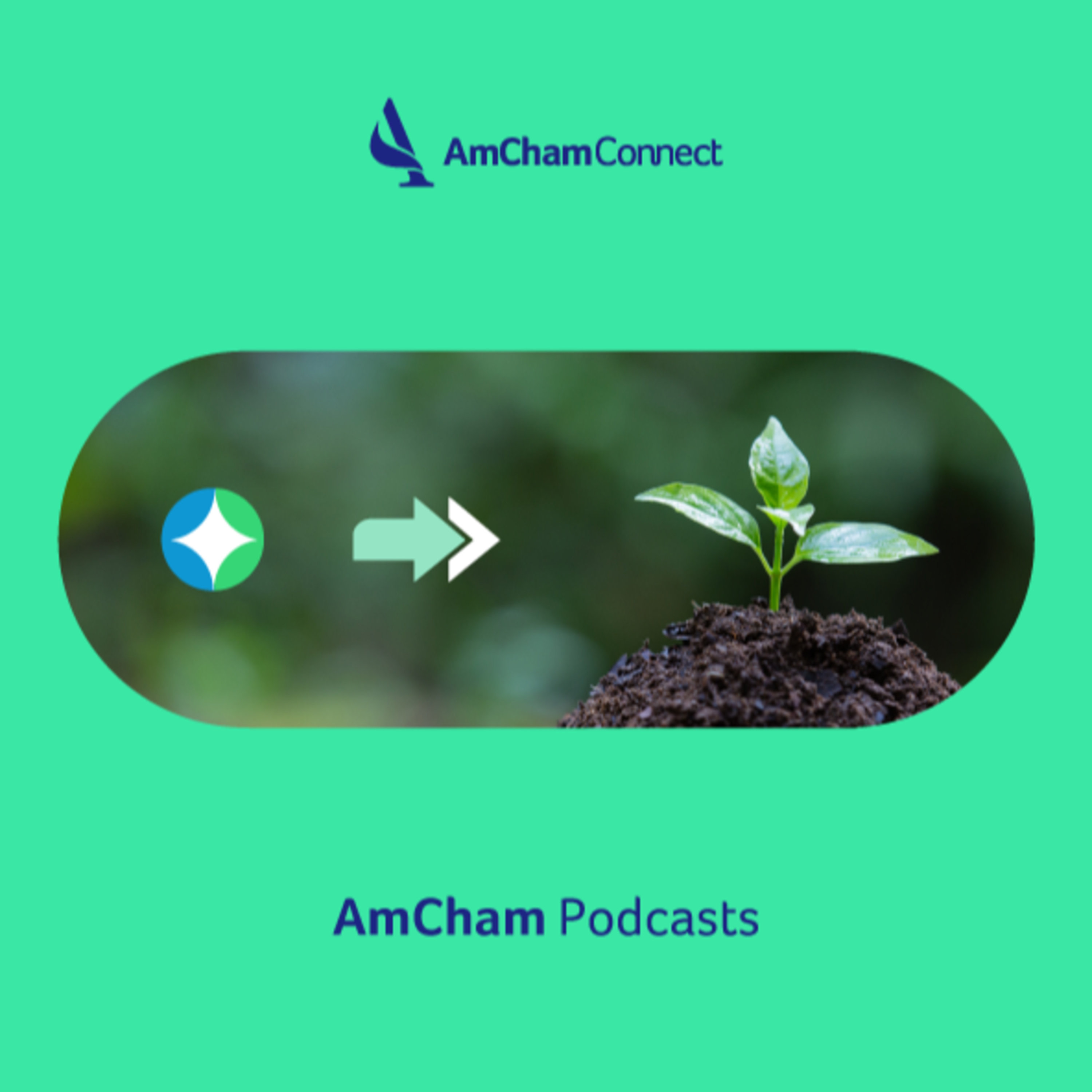 Portada de AmCham Connect