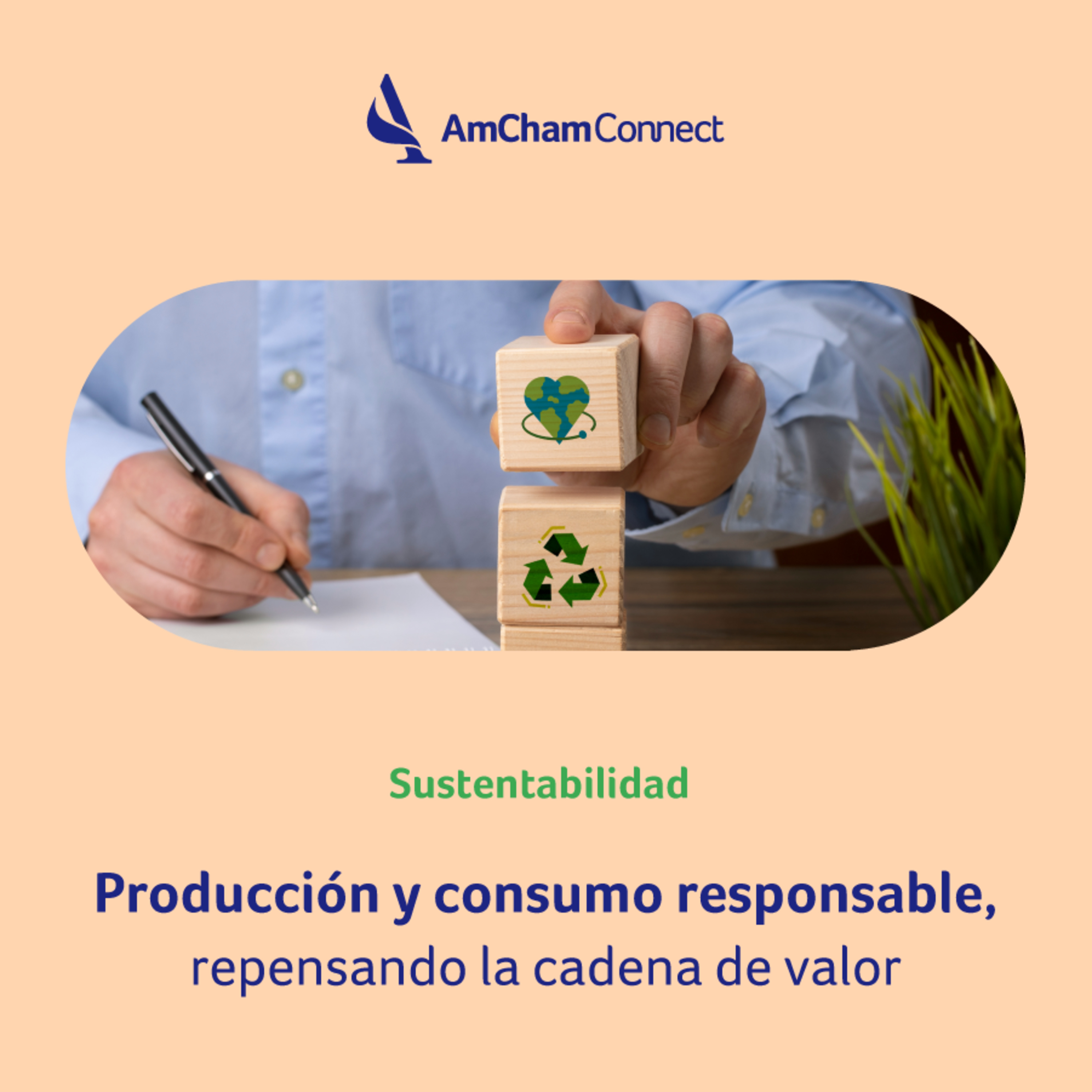 Portada de AmCham Connect