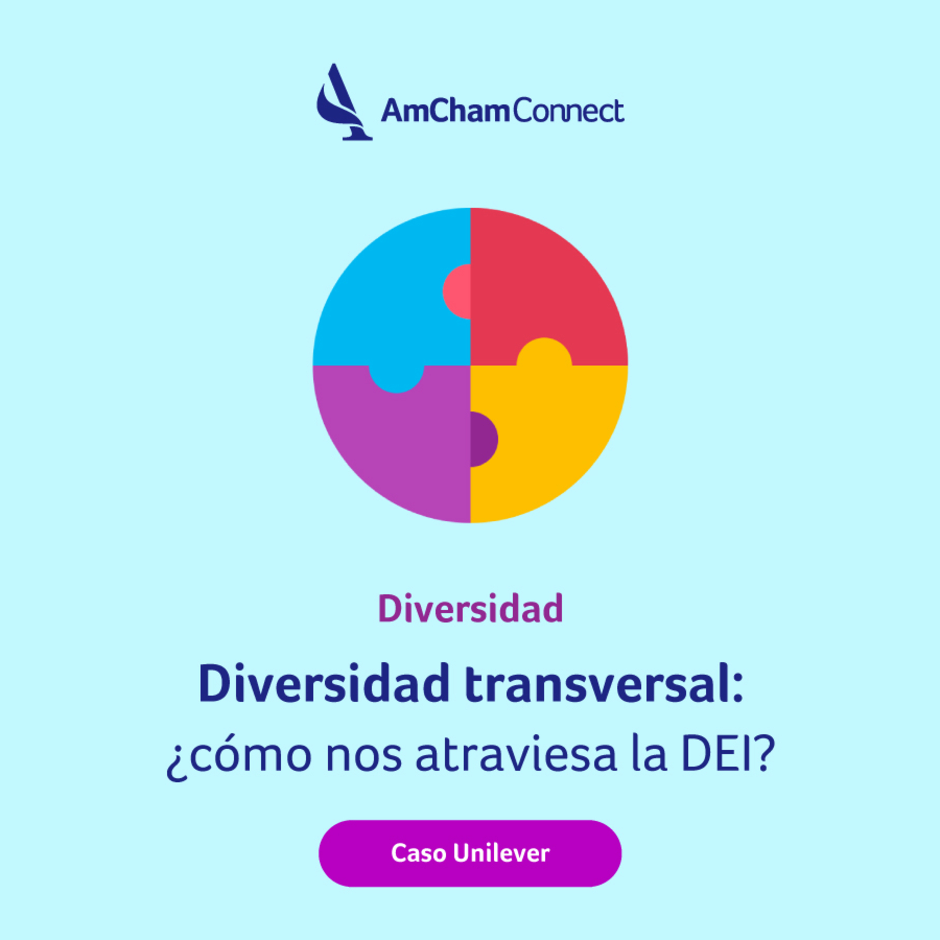 Portada de AmCham Connect