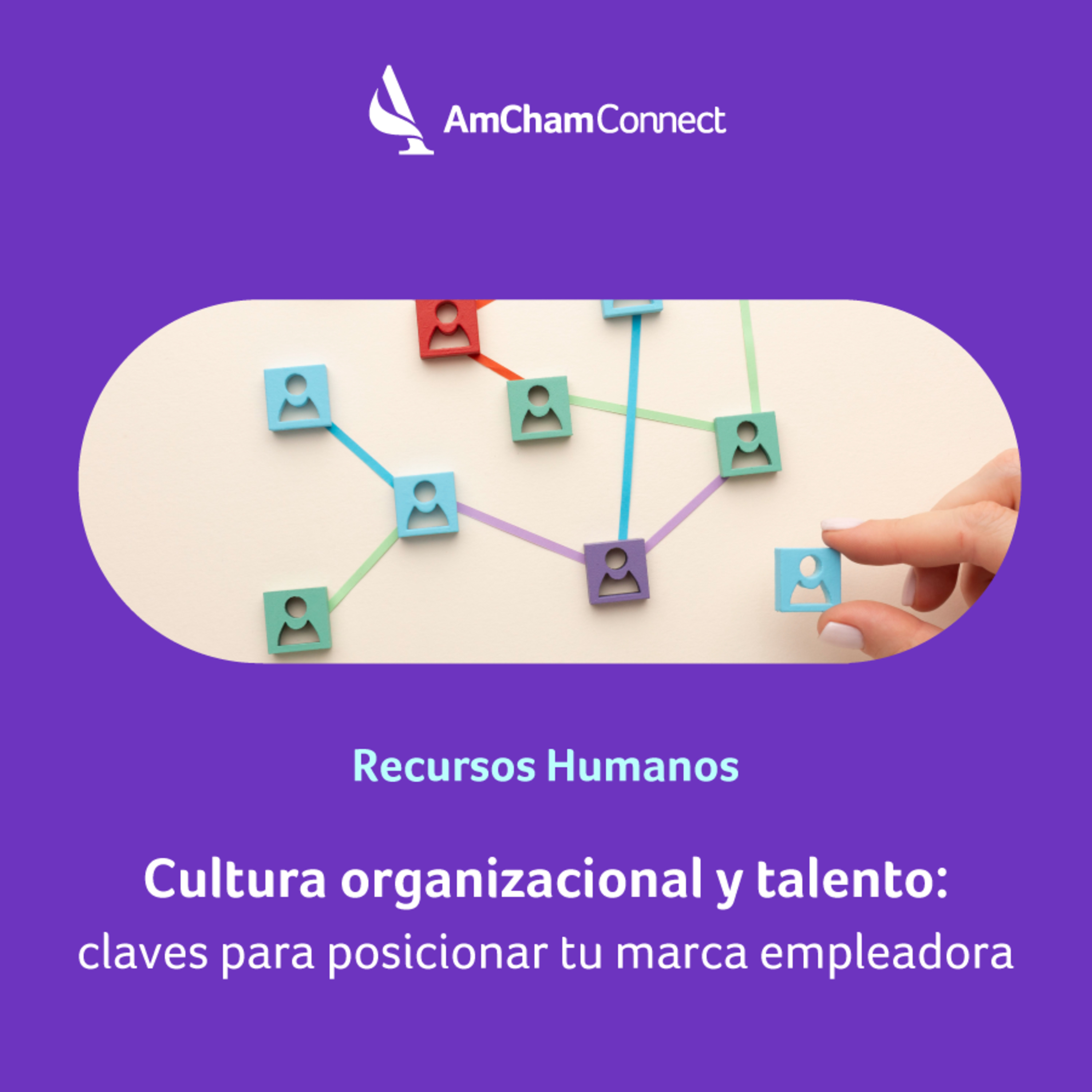 AmCham Connect