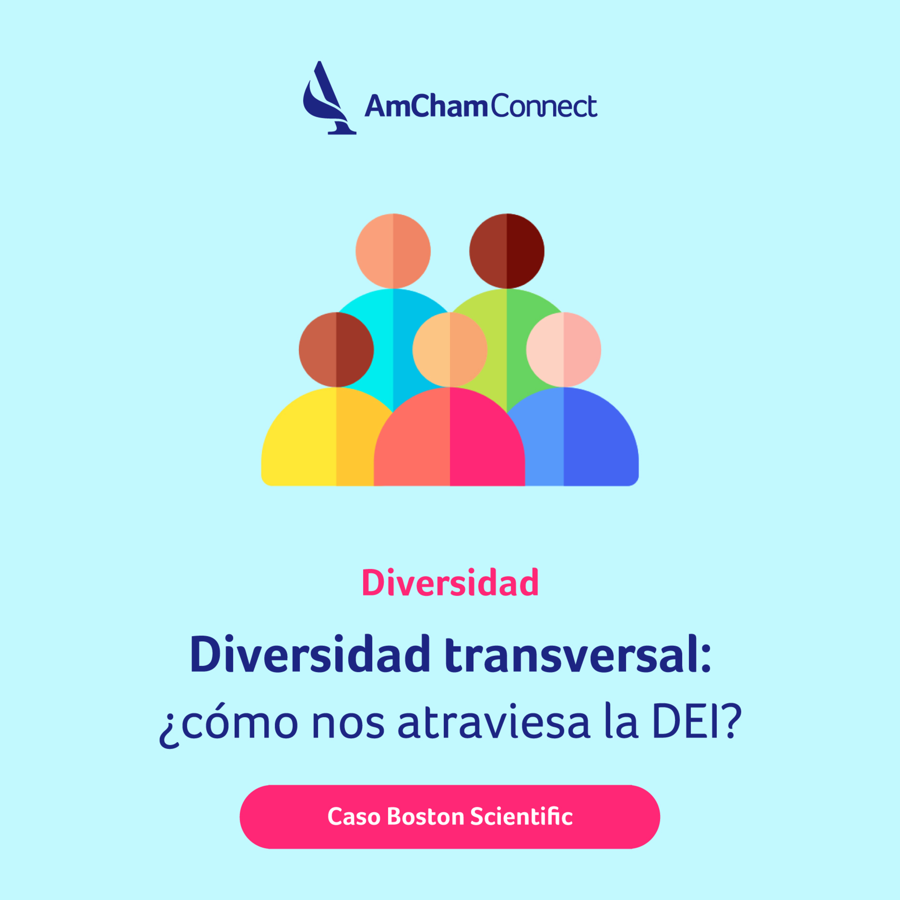 Portada de AmCham Connect