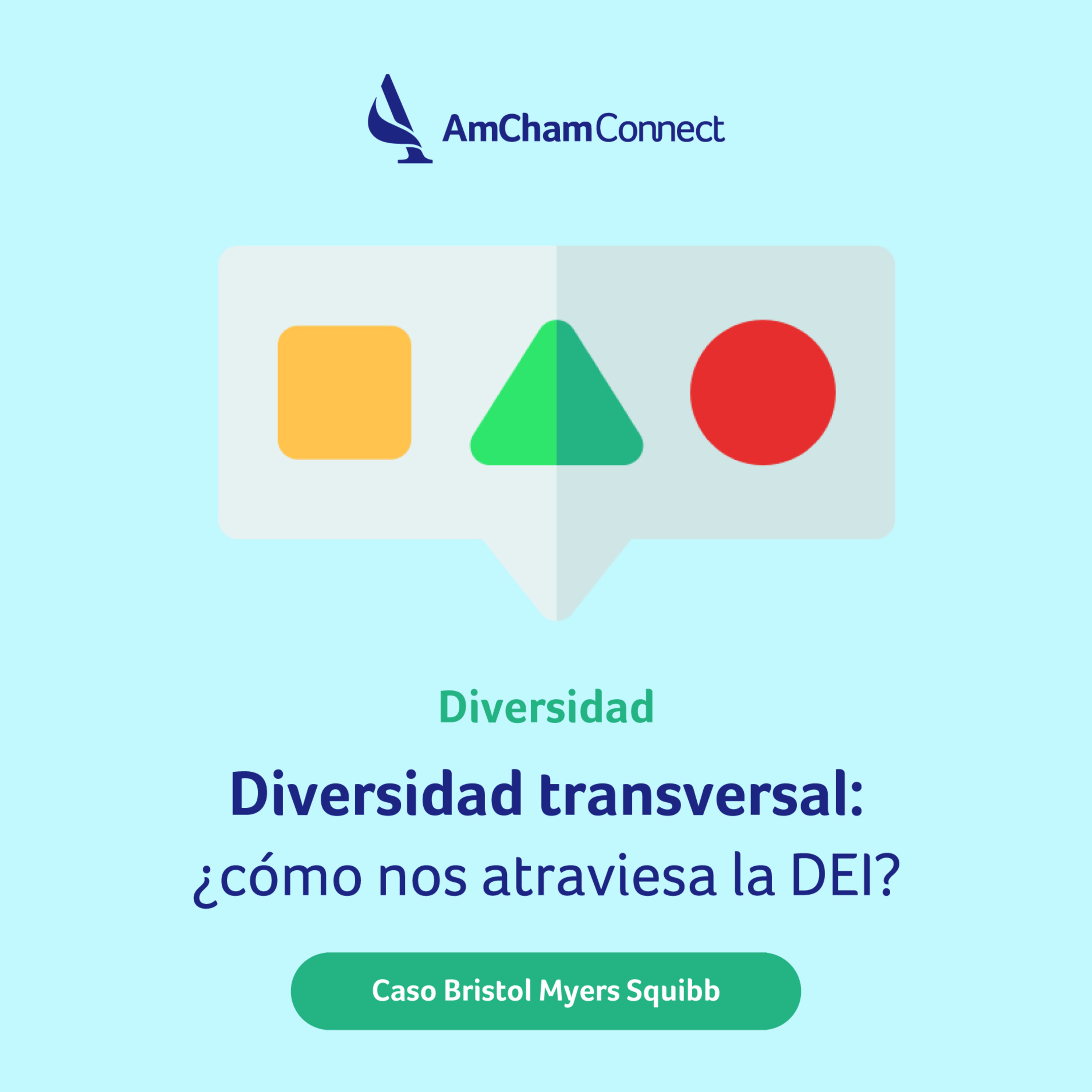 Portada de AmCham Connect
