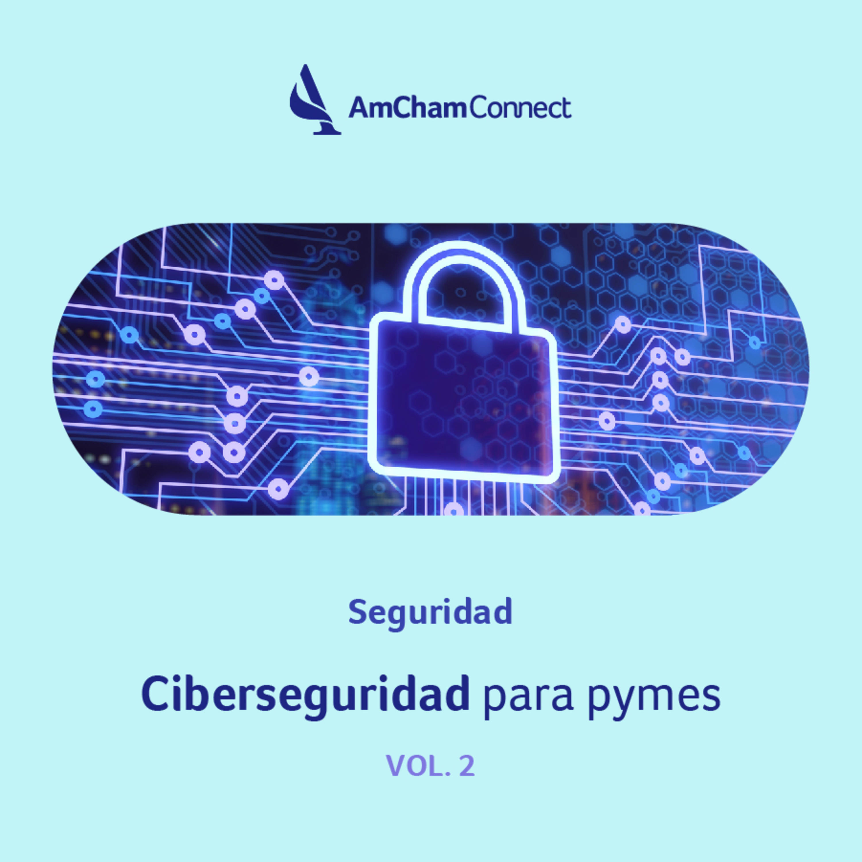 Portada de AmCham Connect