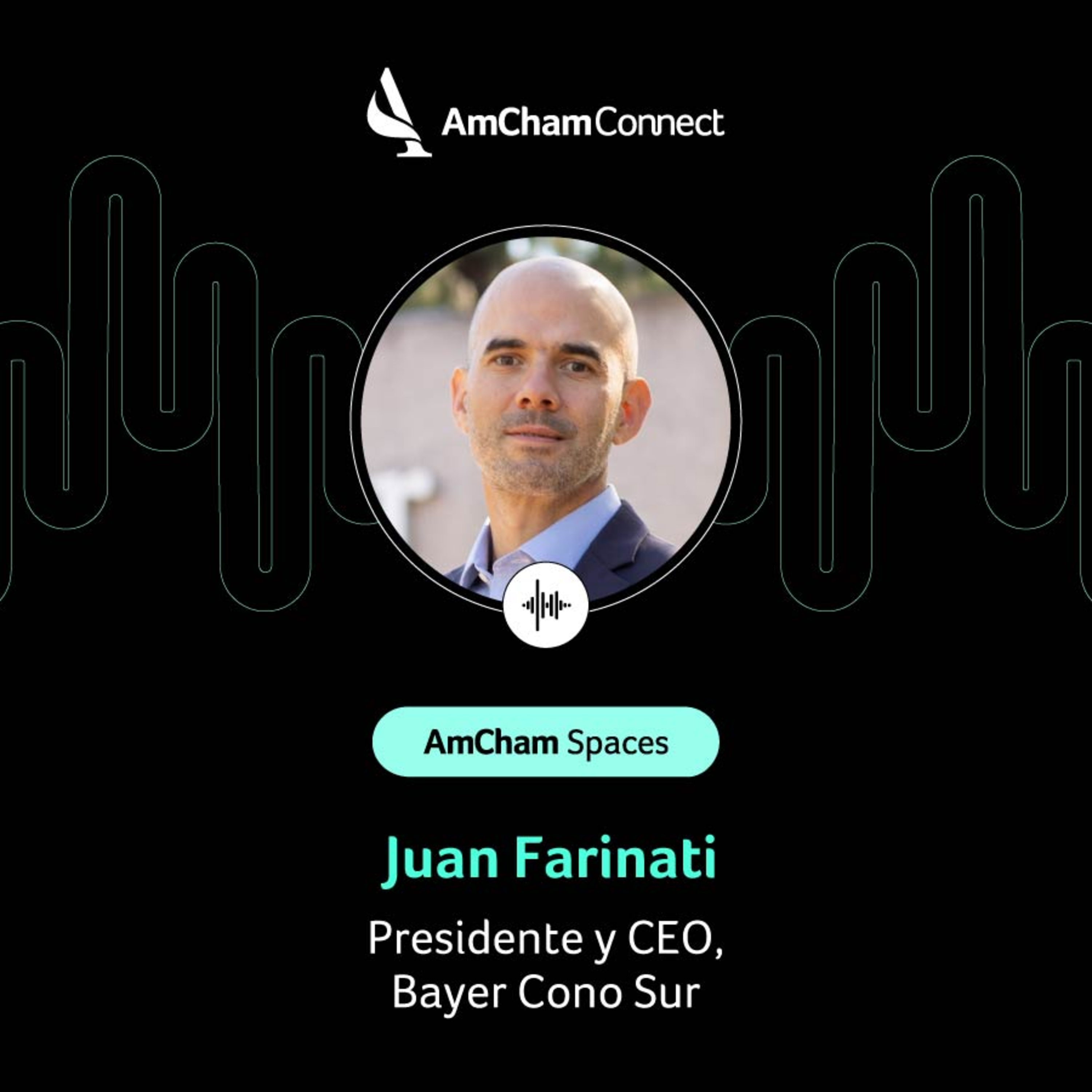 Portada de AmCham Connect