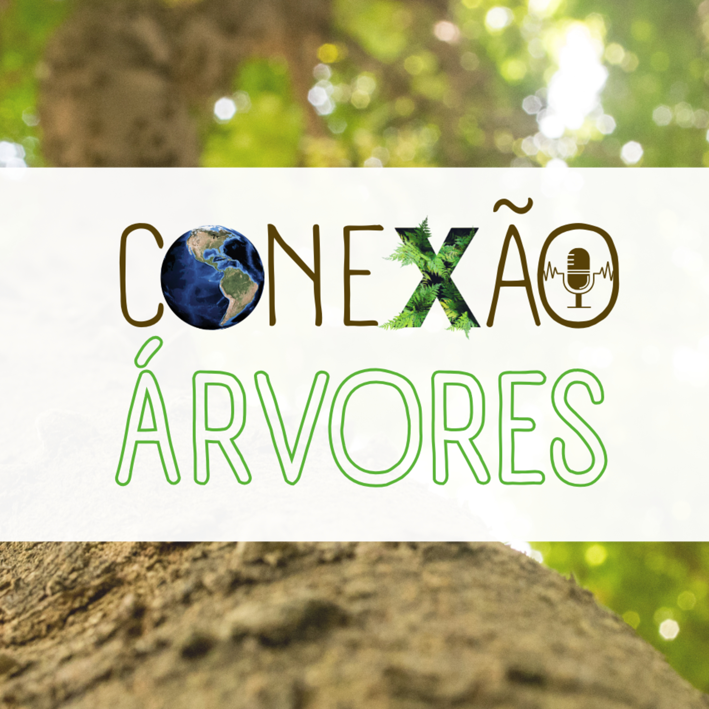 O beabá da Sustentabilidade