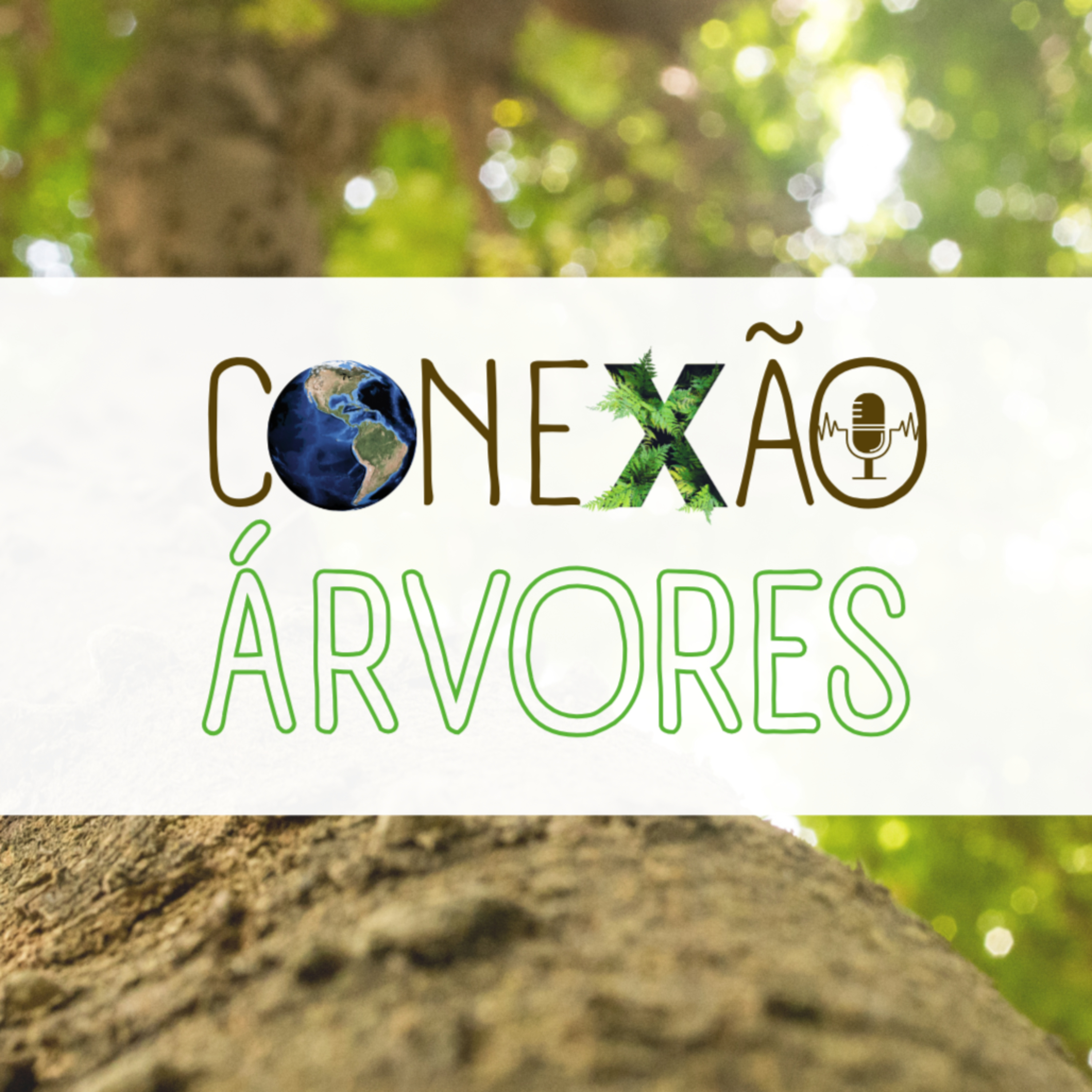 O beabá da Sustentabilidade