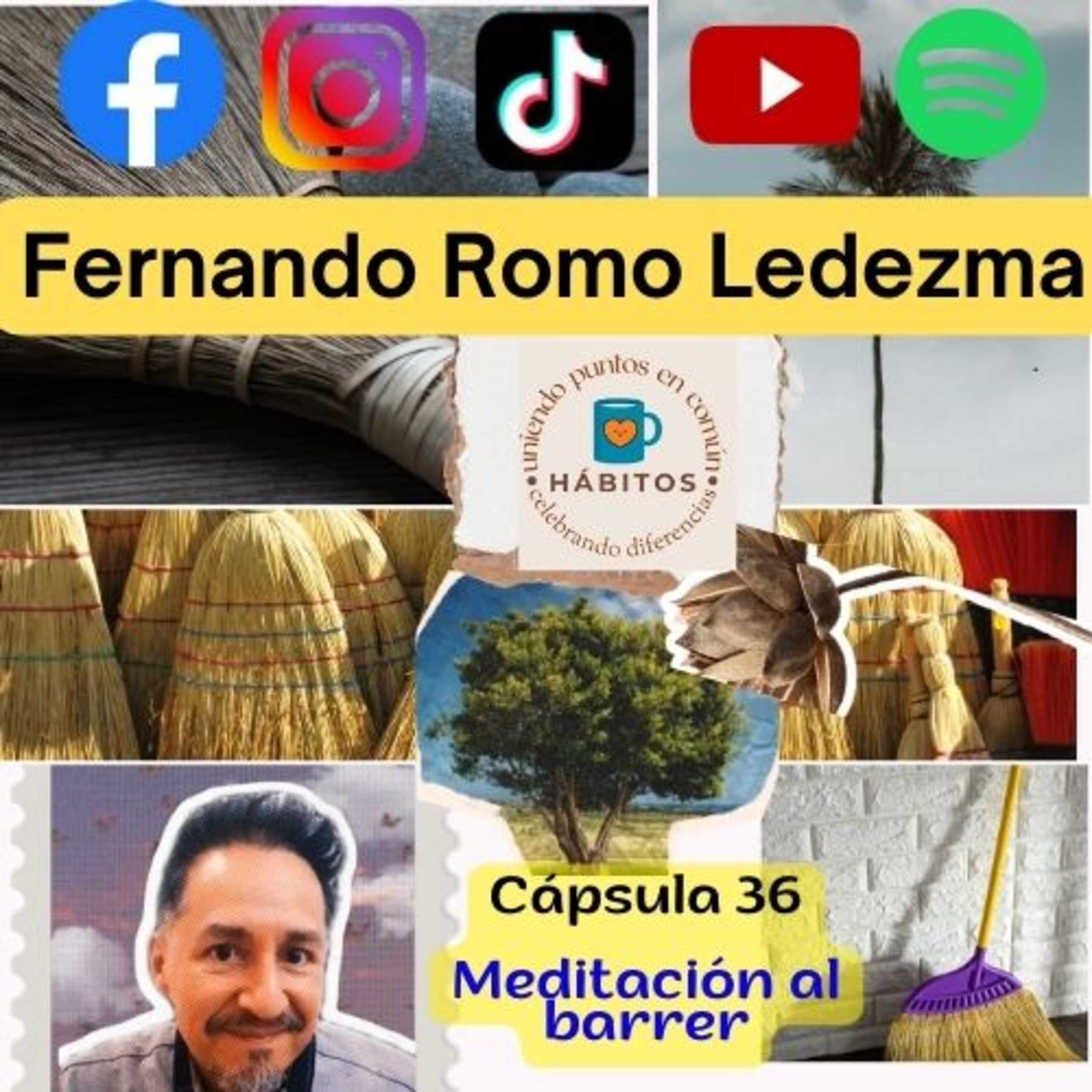 Fernando Romo Ledezma | Hábitos