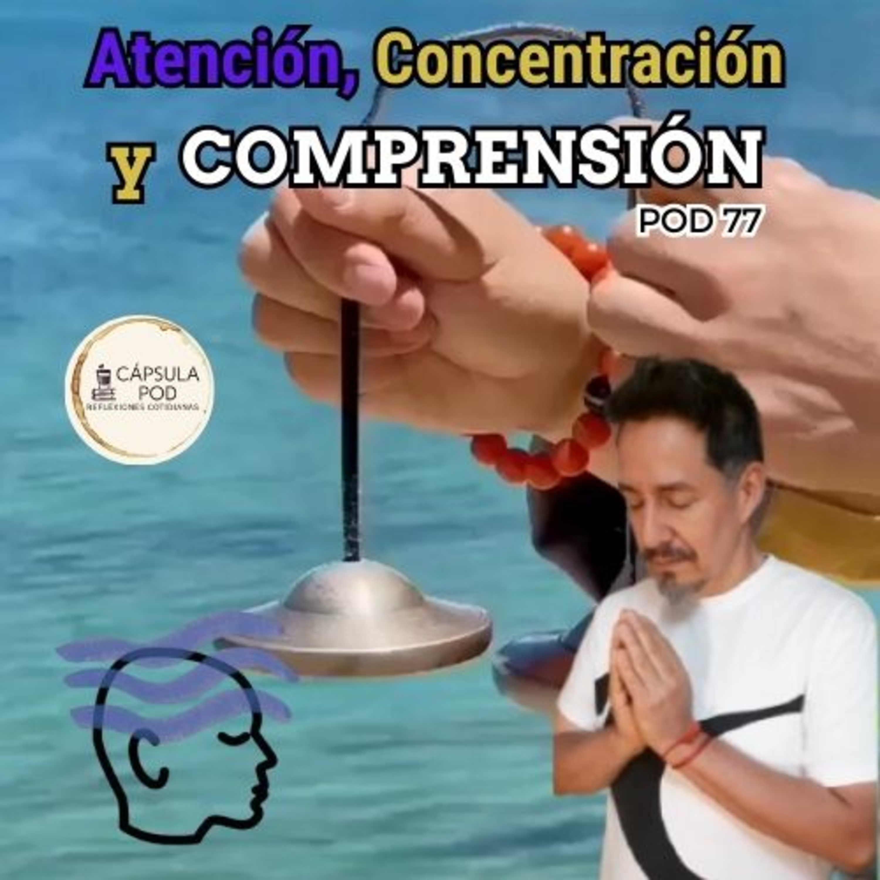 Hábitos POD 77 - Atención, concentración, comprensión