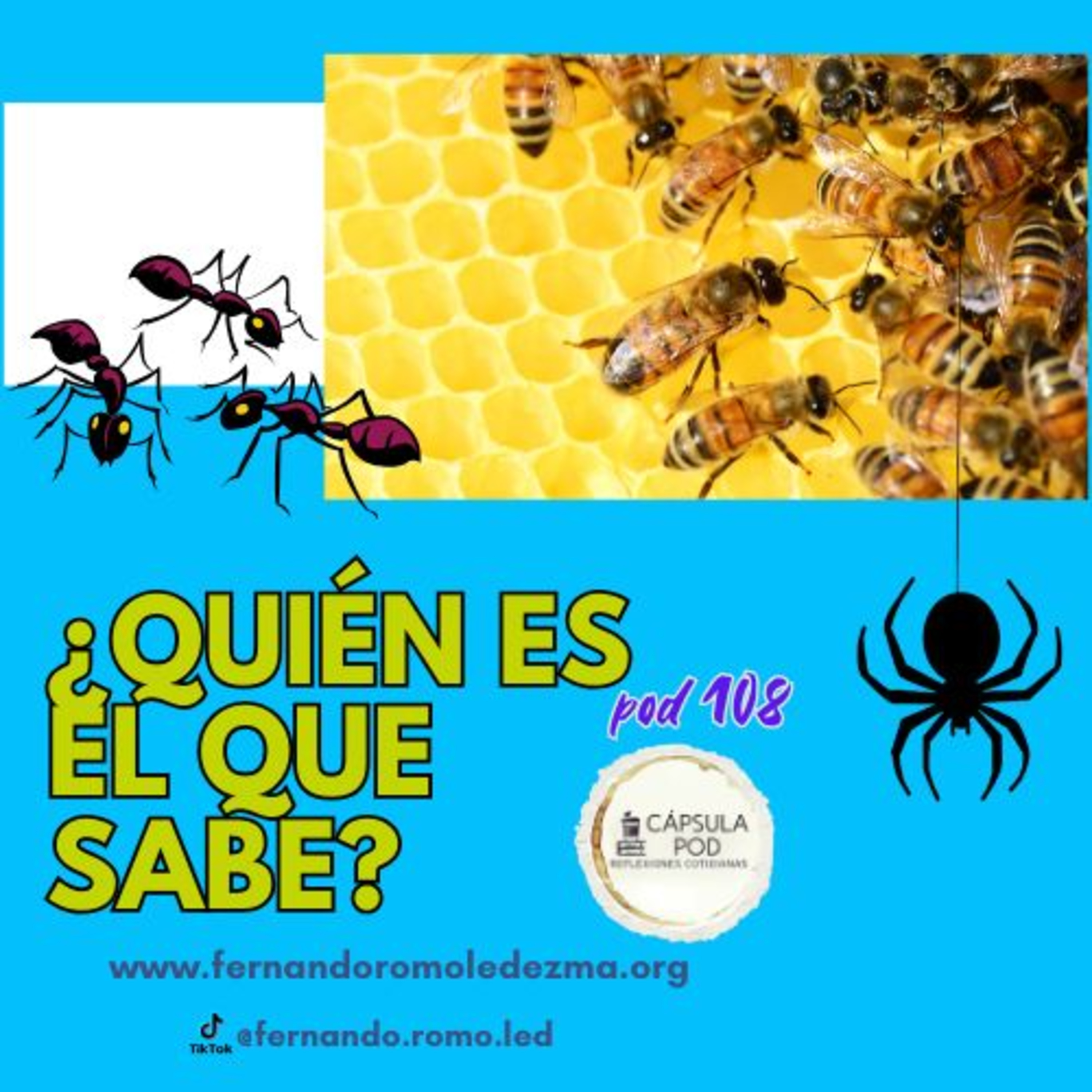 Hábitos -Pod 108 - ¿Quién es el que sabe ?#mindfullnesspractice #espiritualidad #habitosguadalajara episode artwork