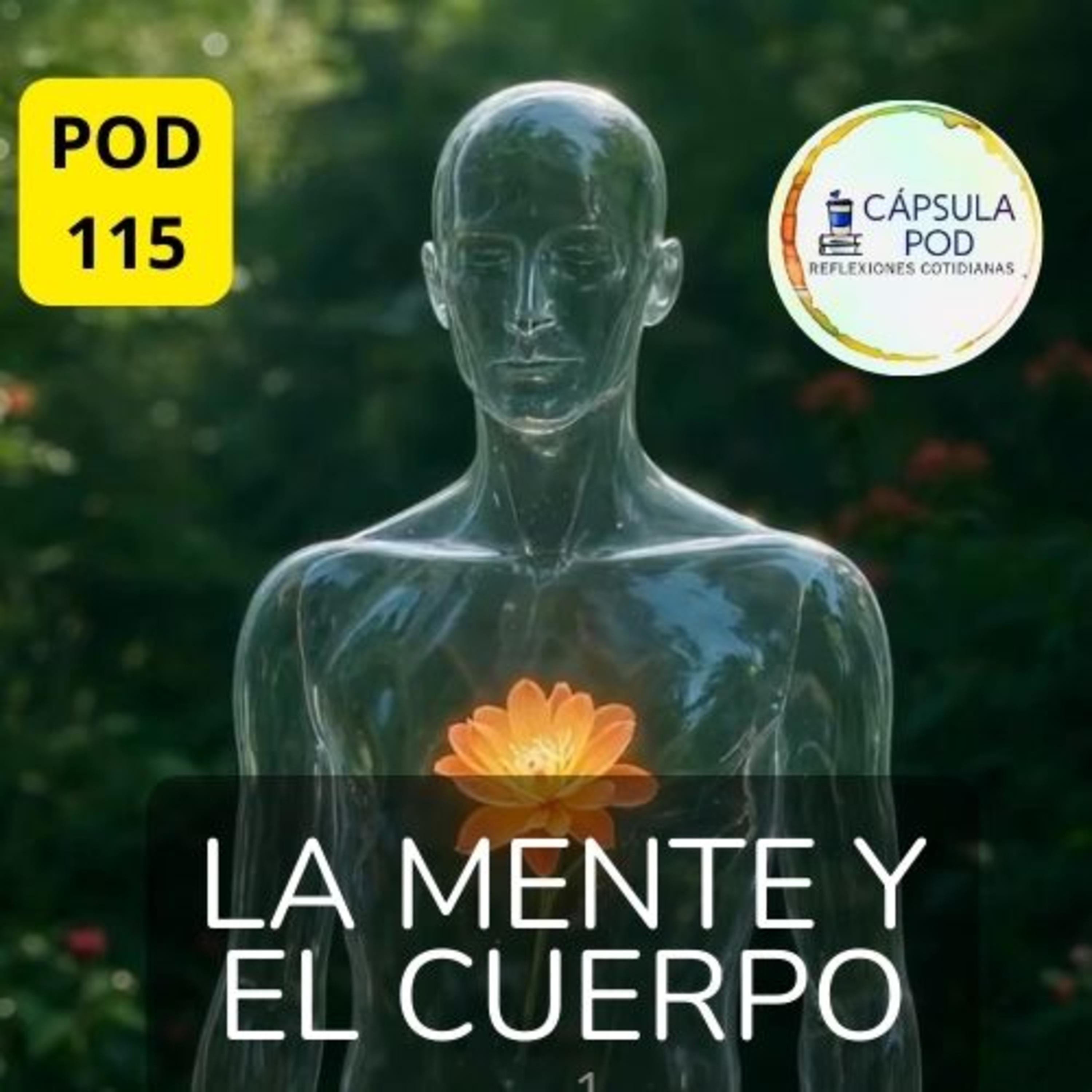 Hàbitos - Pod 115 - La mente y el cuerpo #habitosguadalajara #somostribu #despertarespiritual episode artwork
