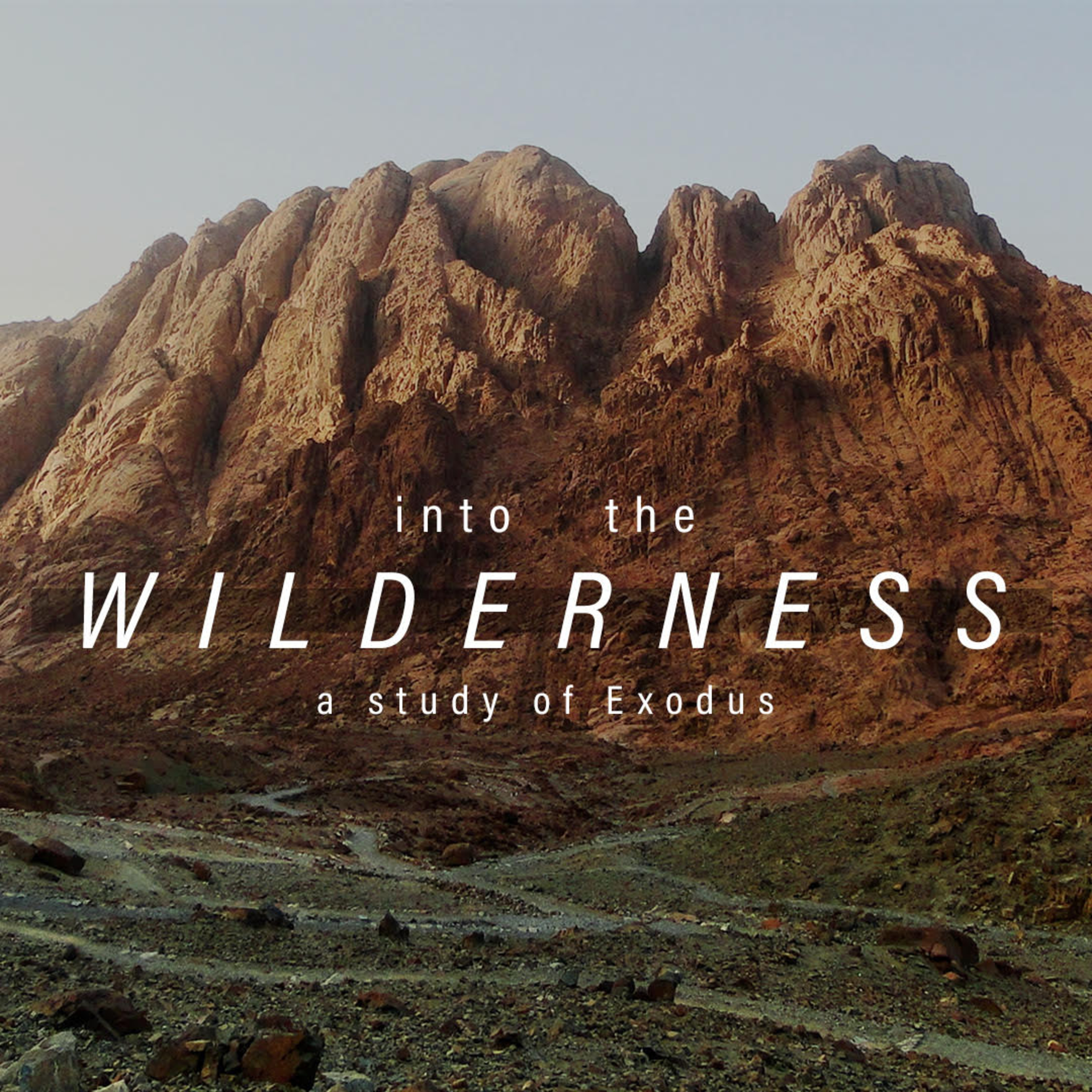 Into the Wilderness - Exodus 7-11 episode artwork