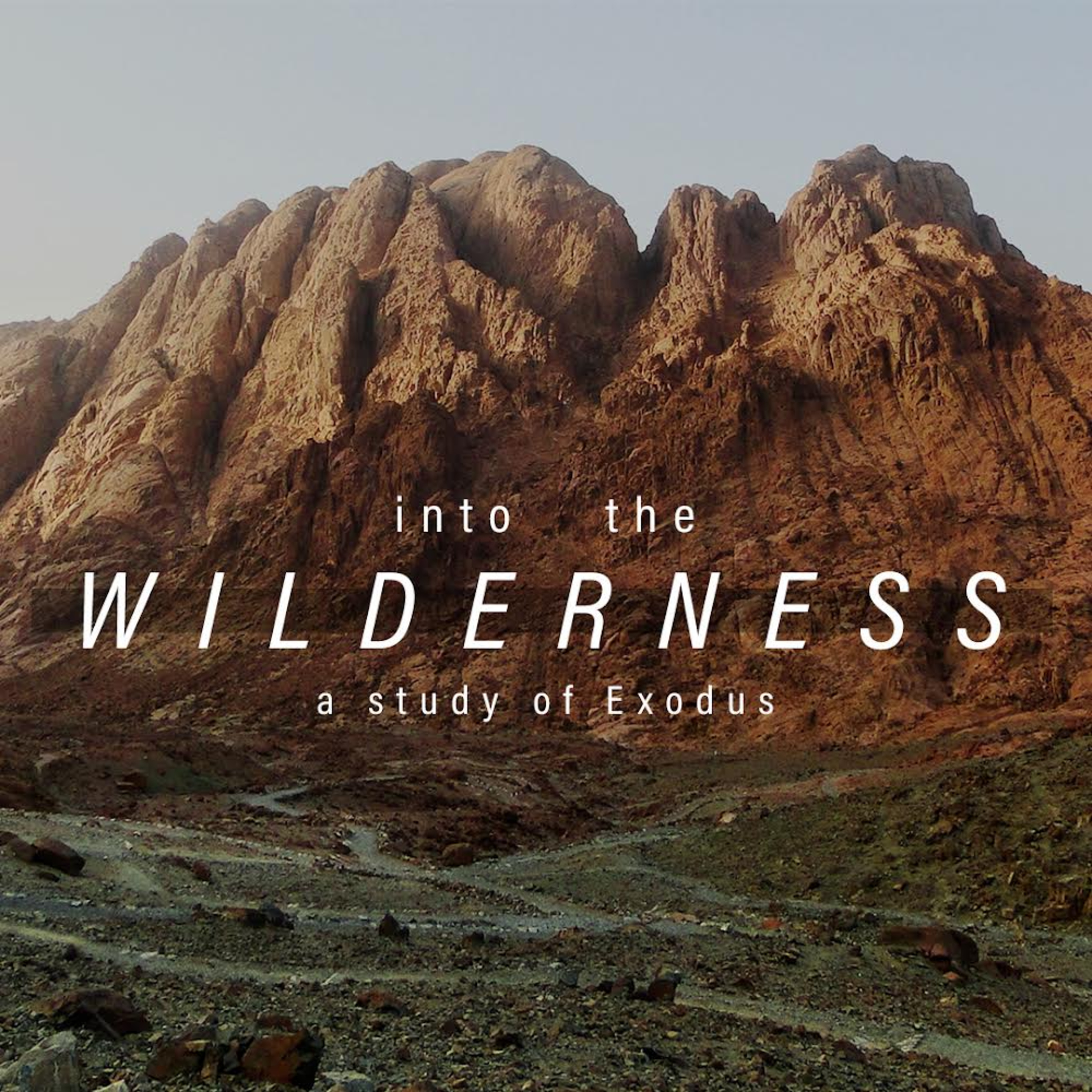 Into the Wilderness - The Golden Calf episode artwork