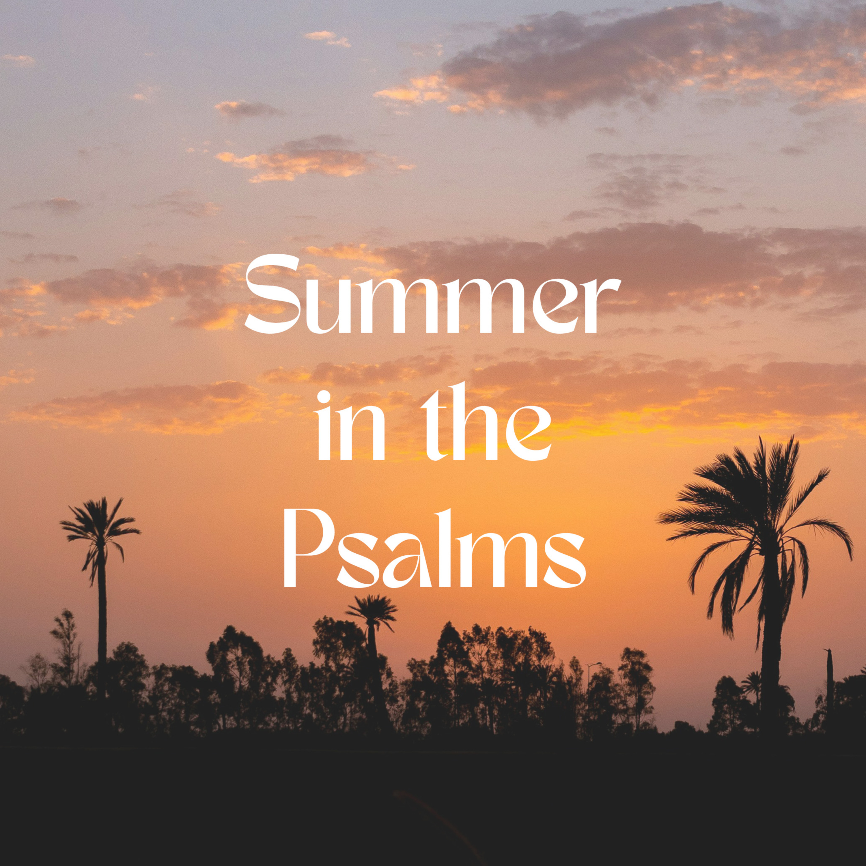 Summer in the Psalms - Psalm 63 episode artwork