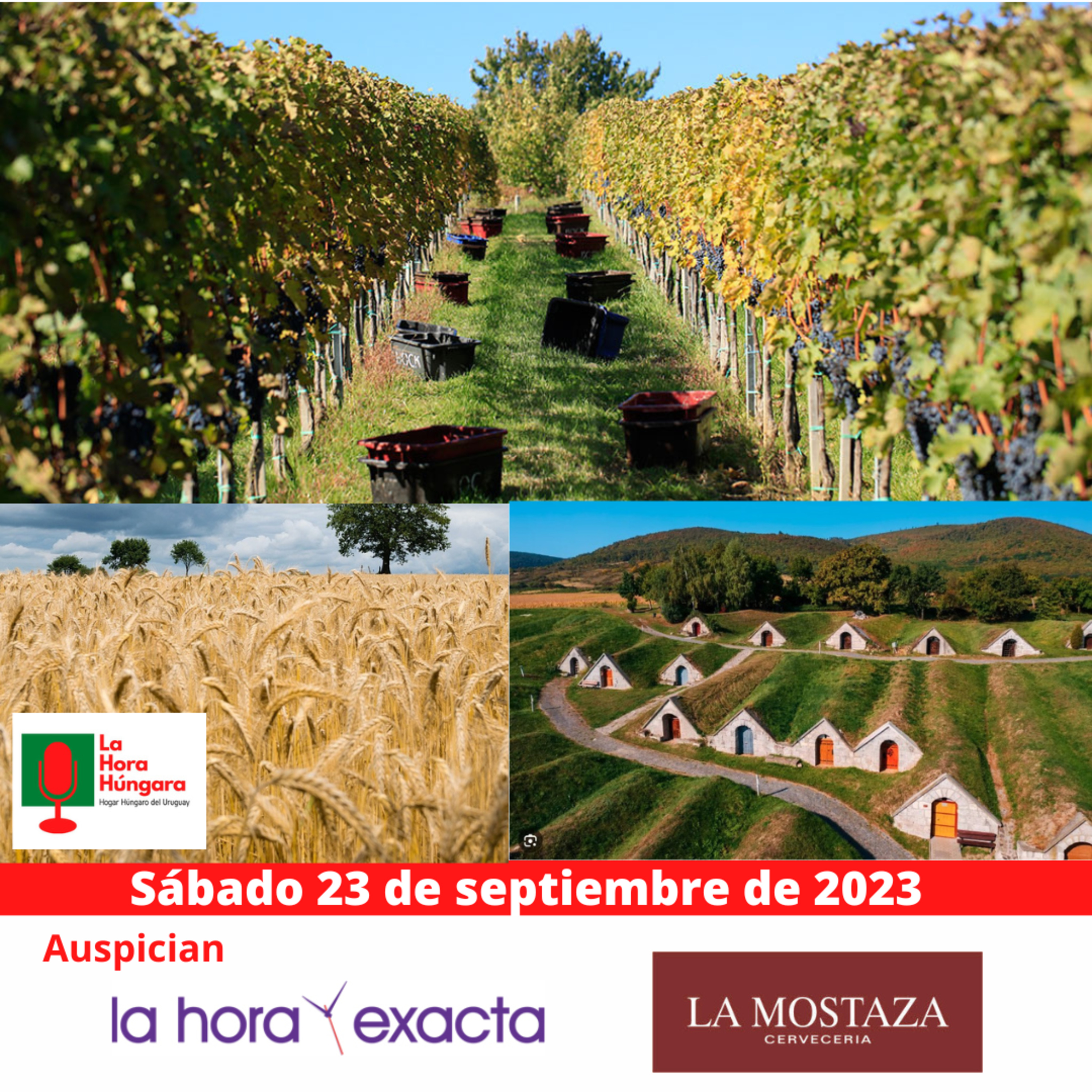 La Hora Húngara – 23 de septiembre de 2023 episode artwork