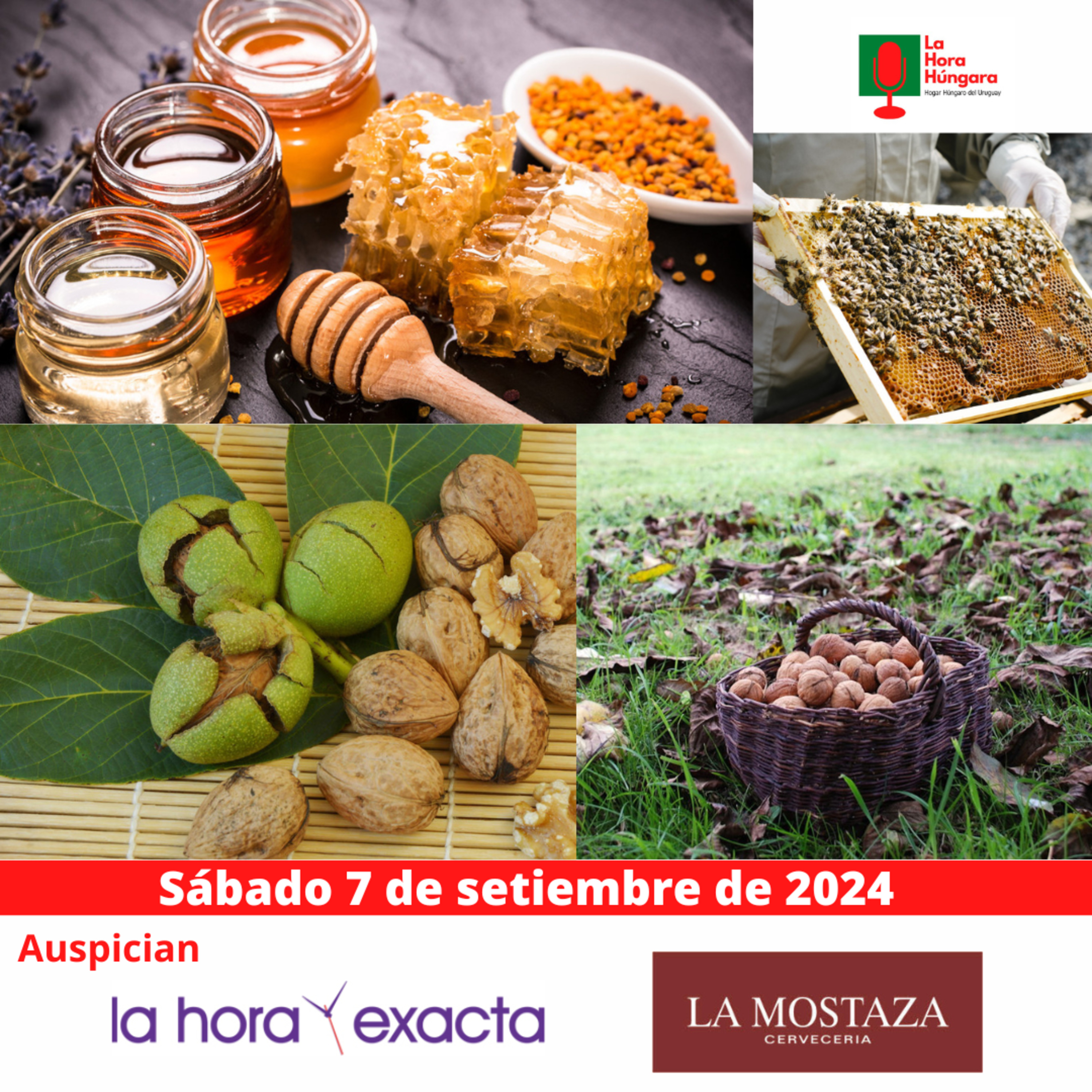La Hora Húngara – 7 de setiembre de 2024 episode artwork