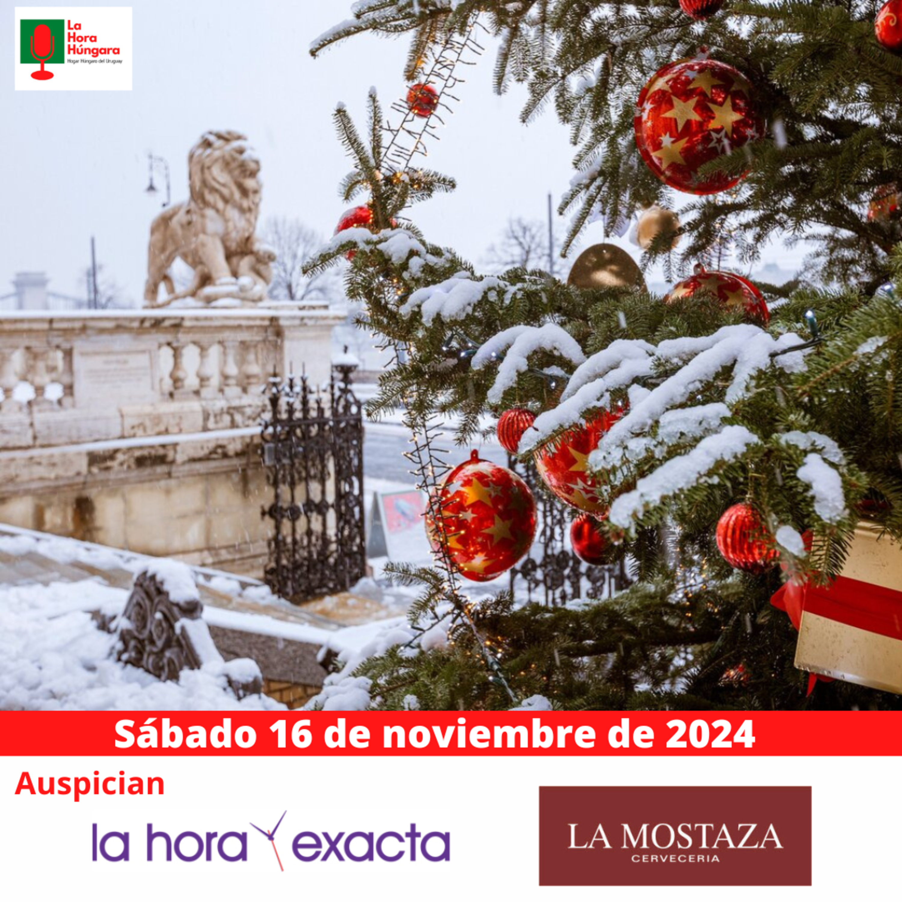 La Hora Húngara – 16 de noviembre de 2024 episode artwork