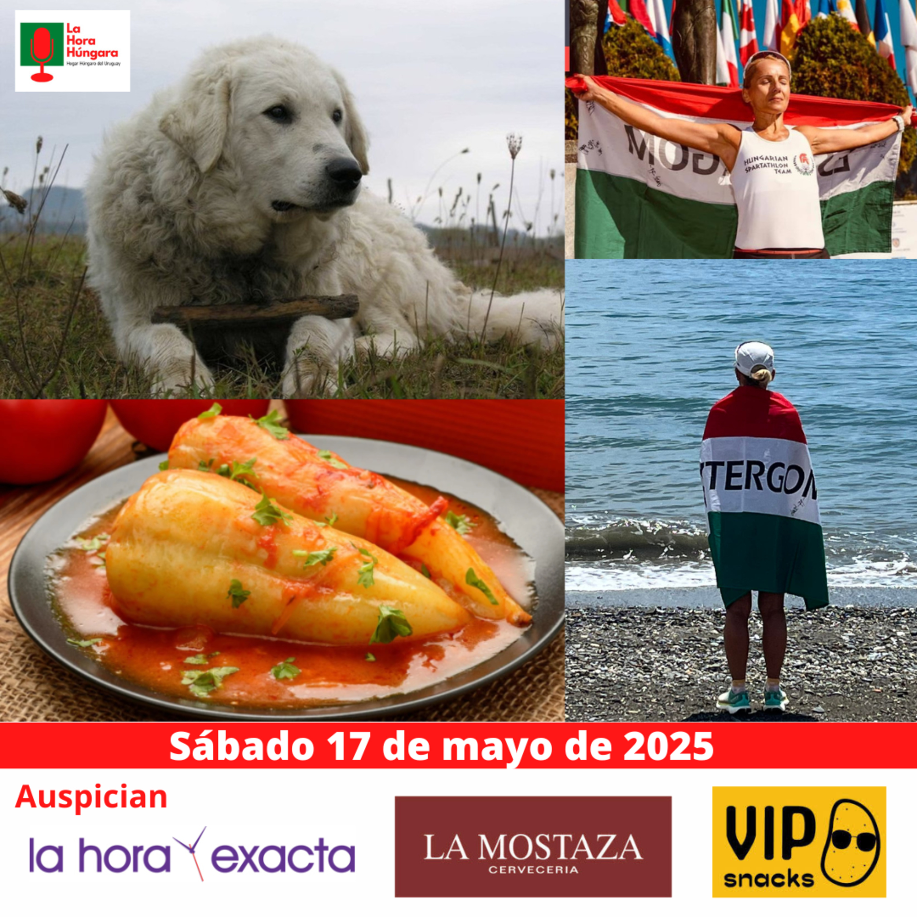 La Hora Húngara – 17 de mayo de 2025 episode artwork