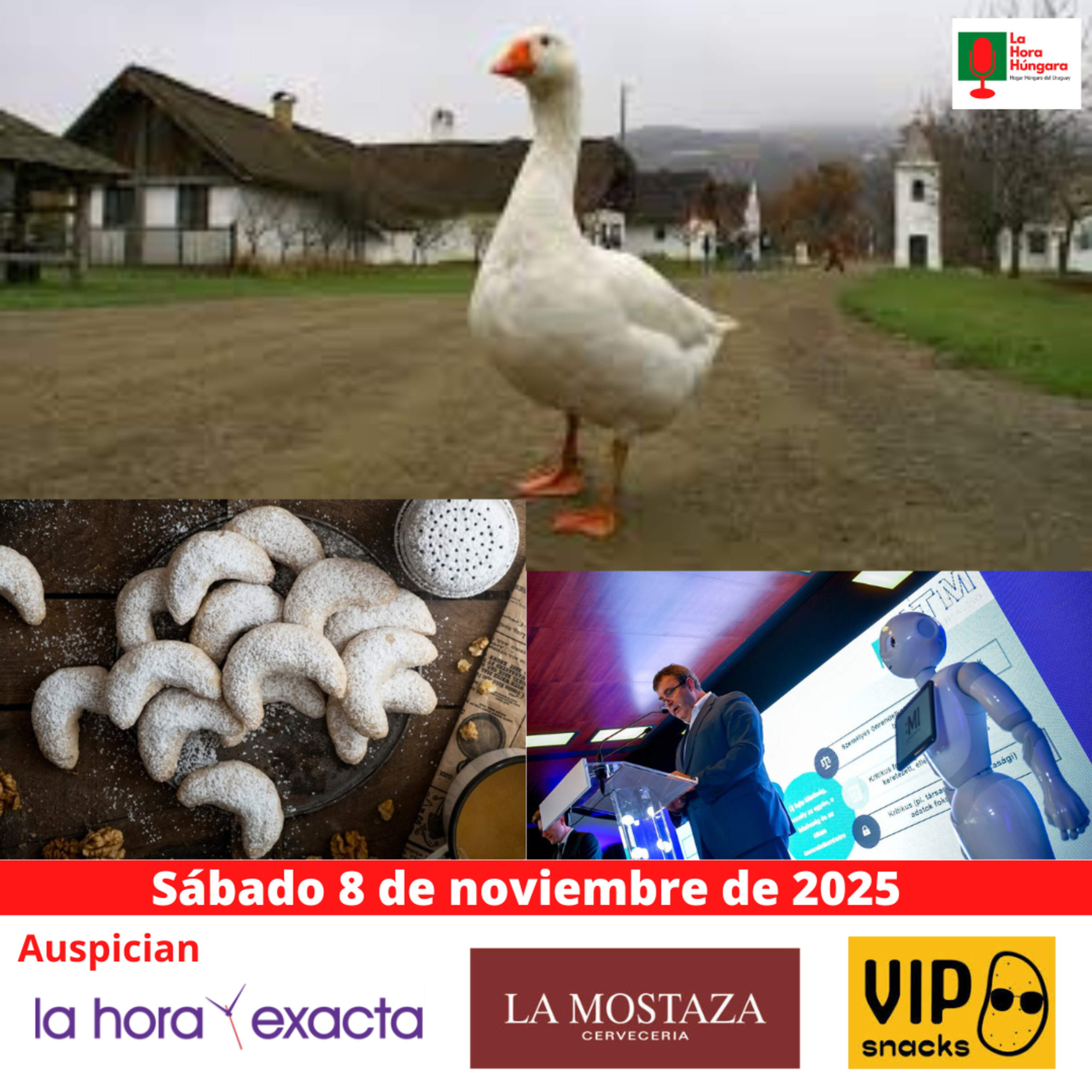La Hora Húngara – 8 de noviembre de 2025 episode artwork