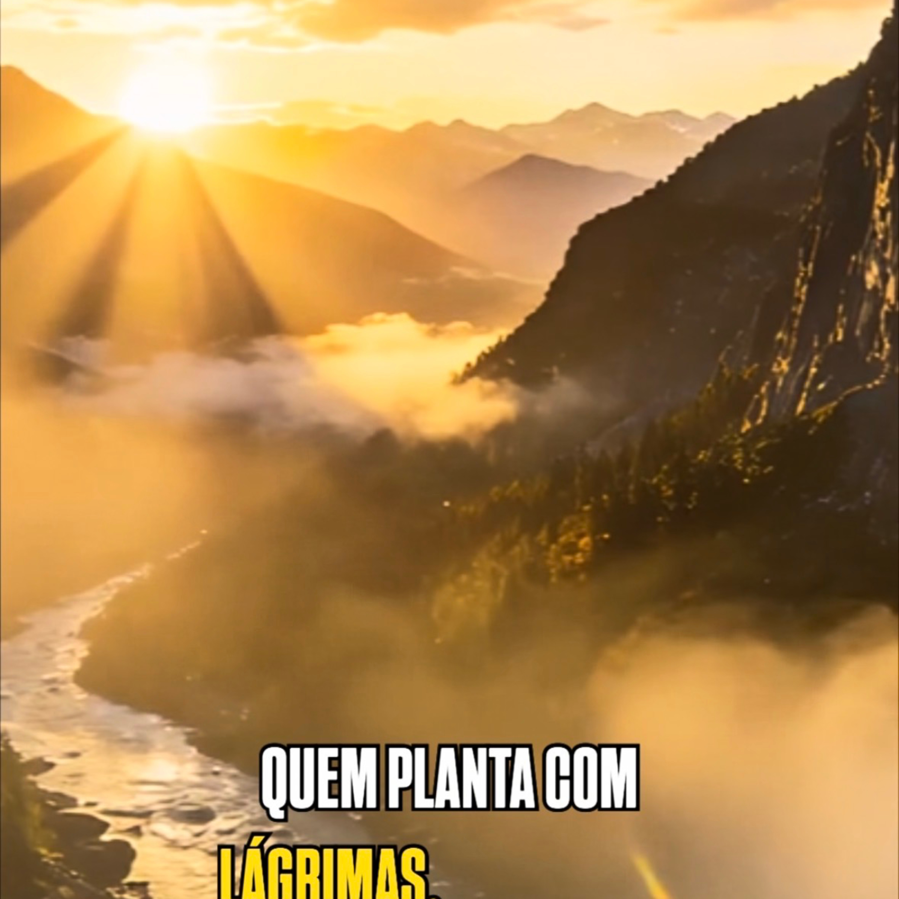 Quem planta com lágrimas, colhe com alegria, Salmos. episode artwork
