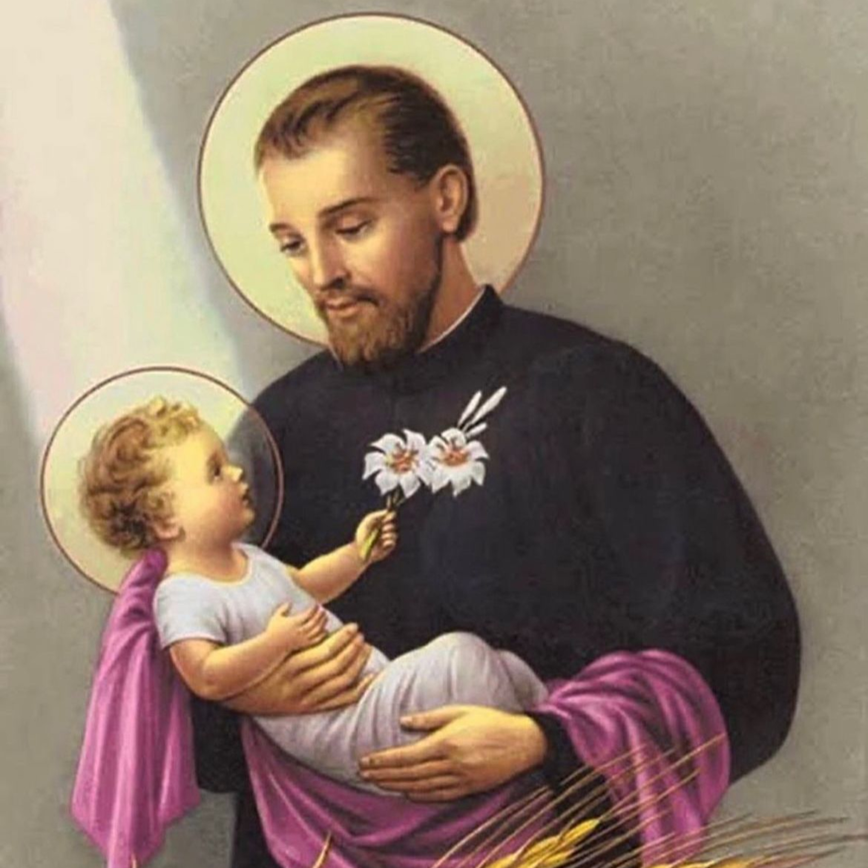 Santo del Día